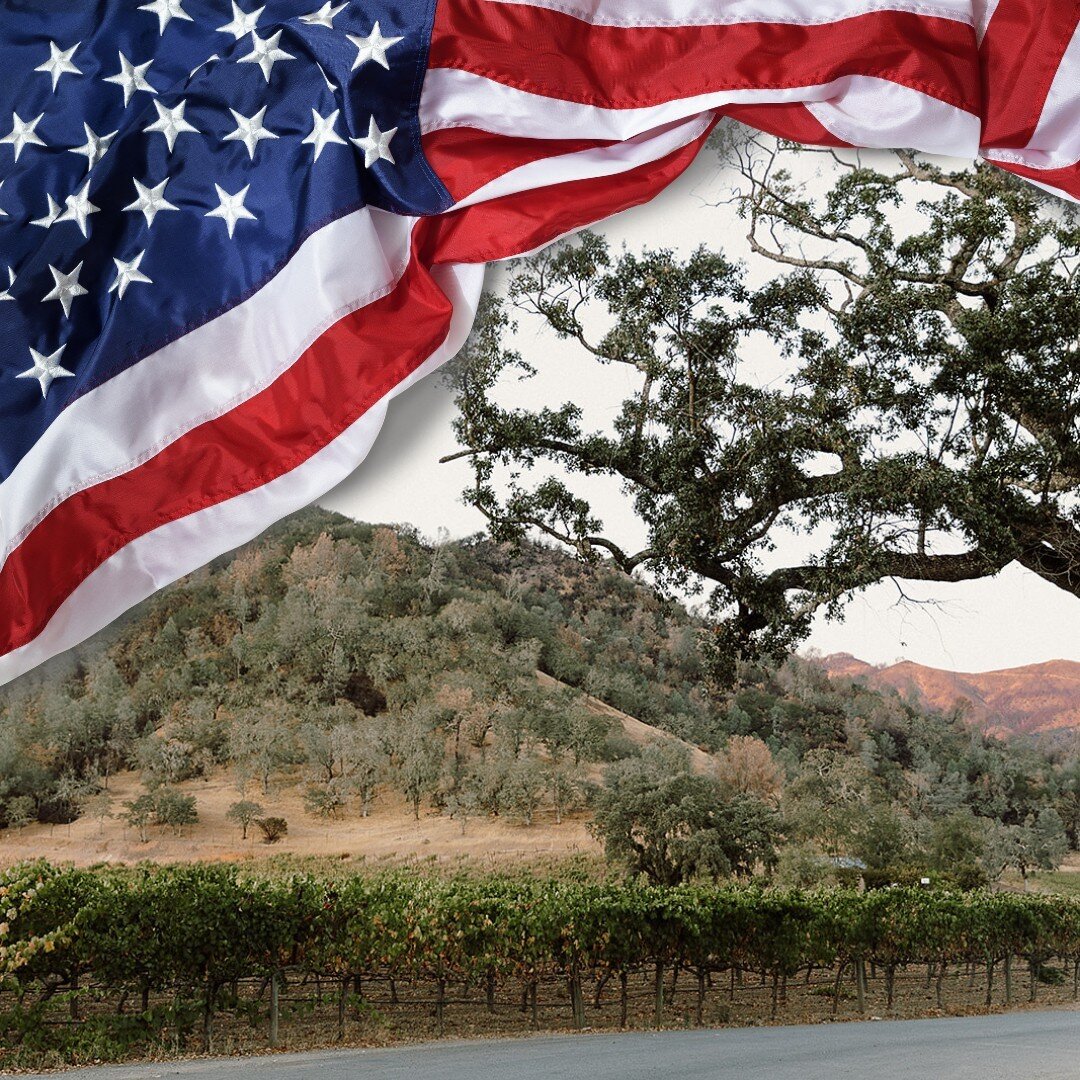 Home of the free ​​​​​​​​
Only because of the brave.​​​​​​​​
🇺🇸​​​​​​​​
Here at Sidelight we wish you all a day of reflection, remembrance and restored hope for our beautiful country. May we never lose sight of what it&rsquo;s cost to get here and 