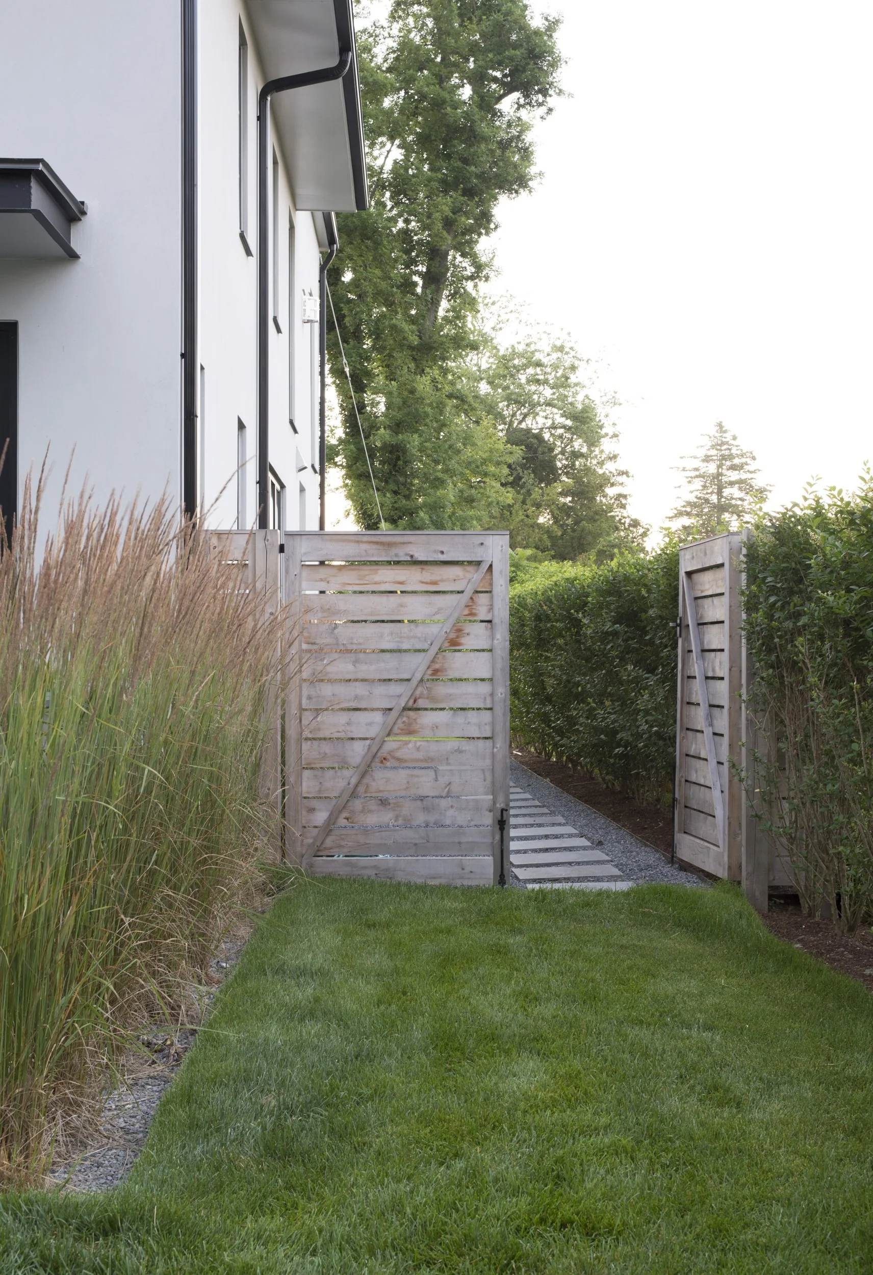 Side yard with ornamental grasses, a wood gate and a clipped hedge