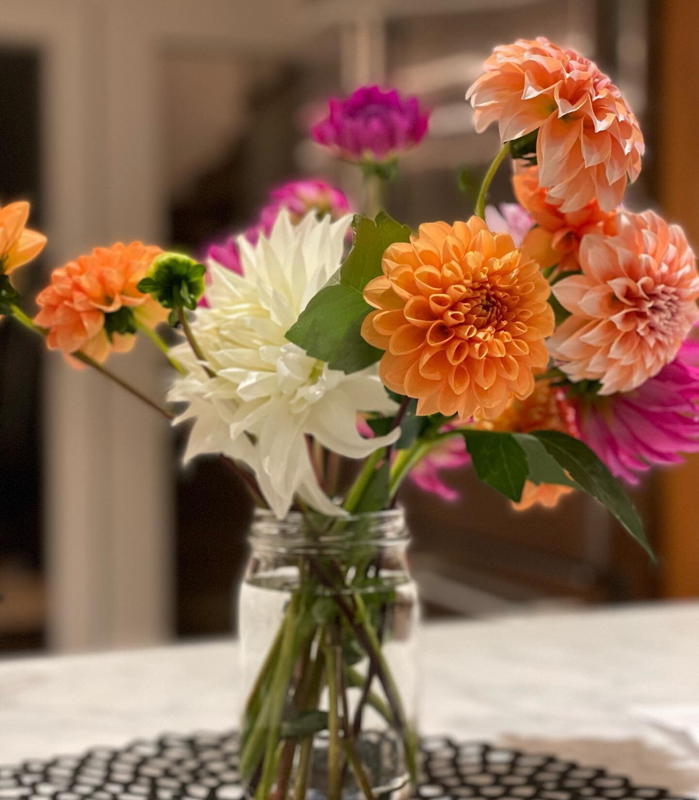 They keep coming! #dahlias #cantstopwontstop #dailyjoy