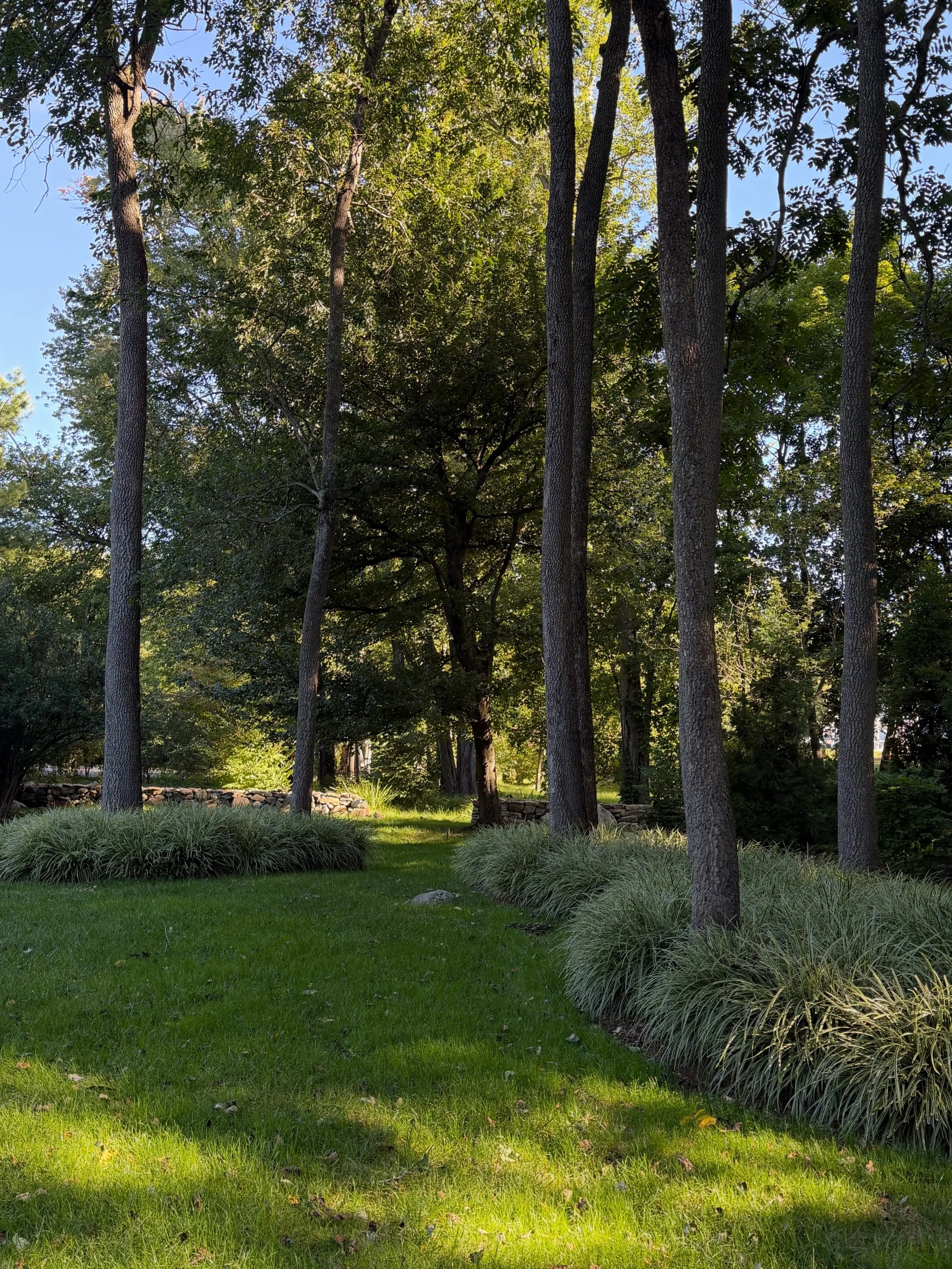 follow the light