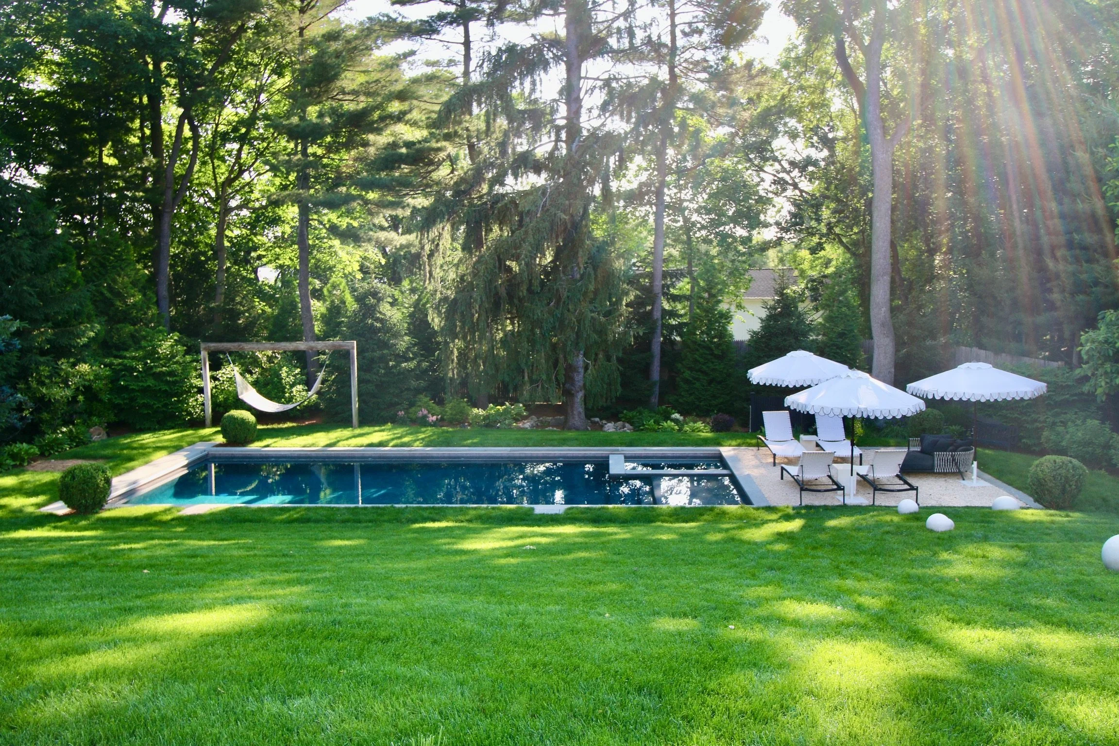 Lawn leading to the pool, with tall trees beyond