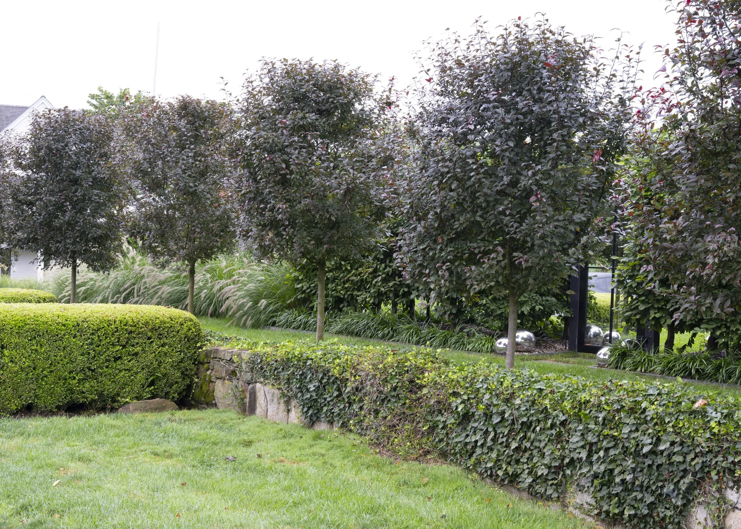 A landscaped yard with four trees, neatly trimmed bushes, tall ornamental grasses, and a stone-edged flower bed, with a house partially visible in the background.