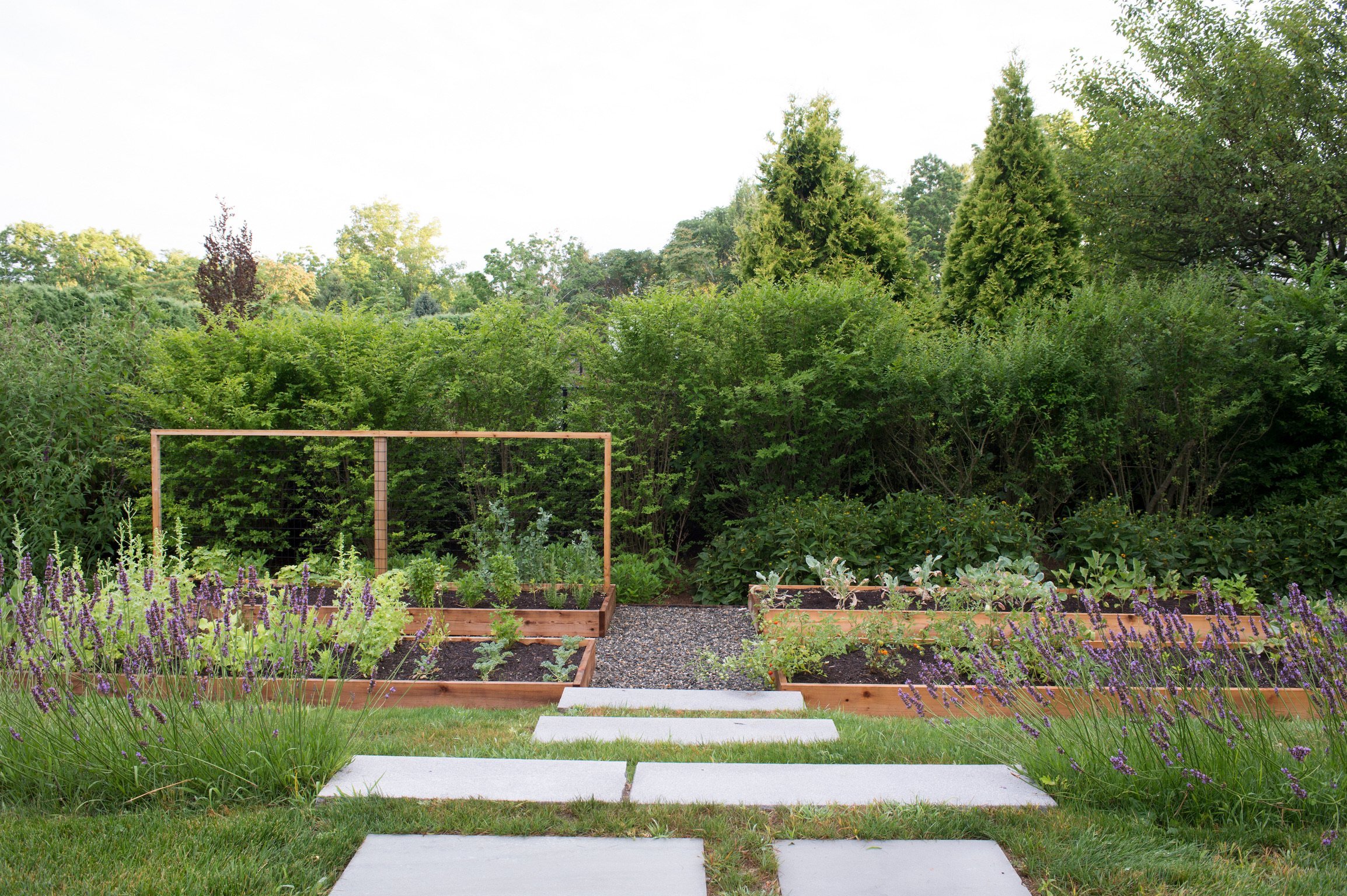 A garden with raised wooden vegetable beds, purple flowers in the foreground, and tall green trees and shrubs in the background, along with stepping stones on the grass.