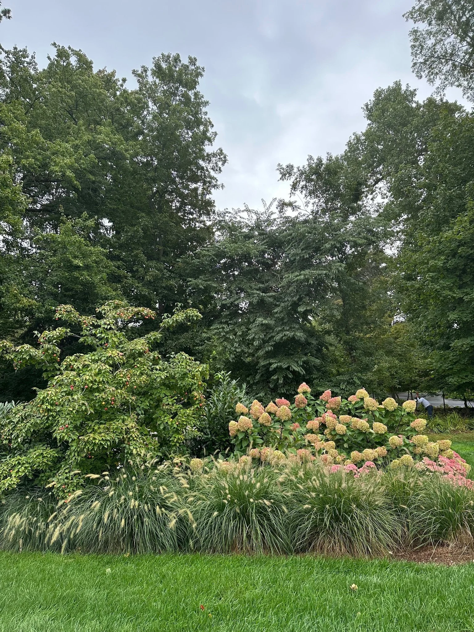 A lush garden with various flowering plants, green bushes, tall trees, and a person tending to the plants under an overcast sky.