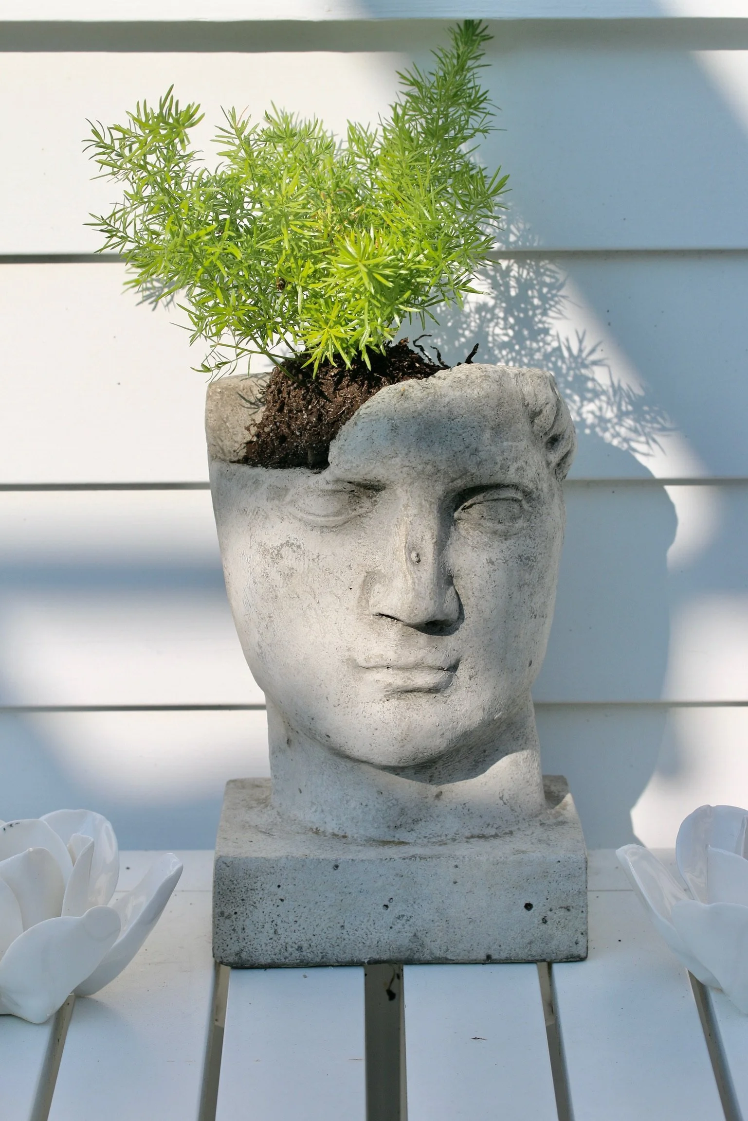 Stone face planter holding a feathery fern on a white table