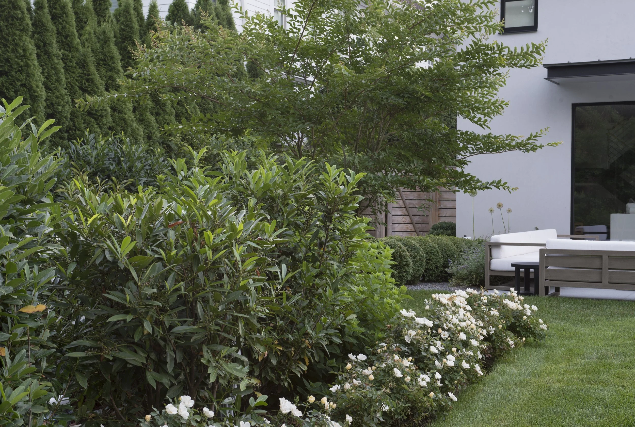 Layered shrub planting with white flowers leading toward a seating area