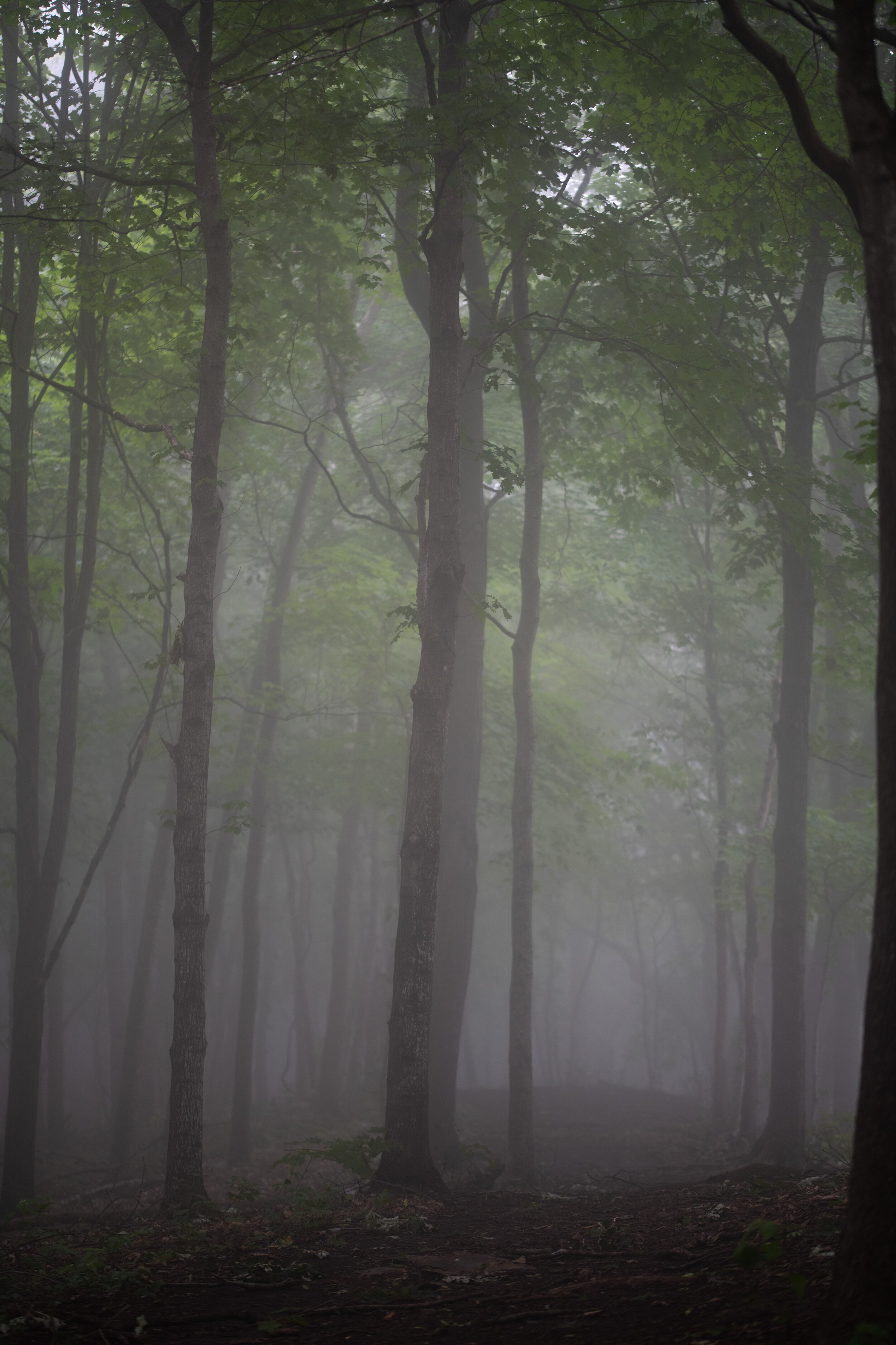 Great River Bluffs Park-5334.jpg