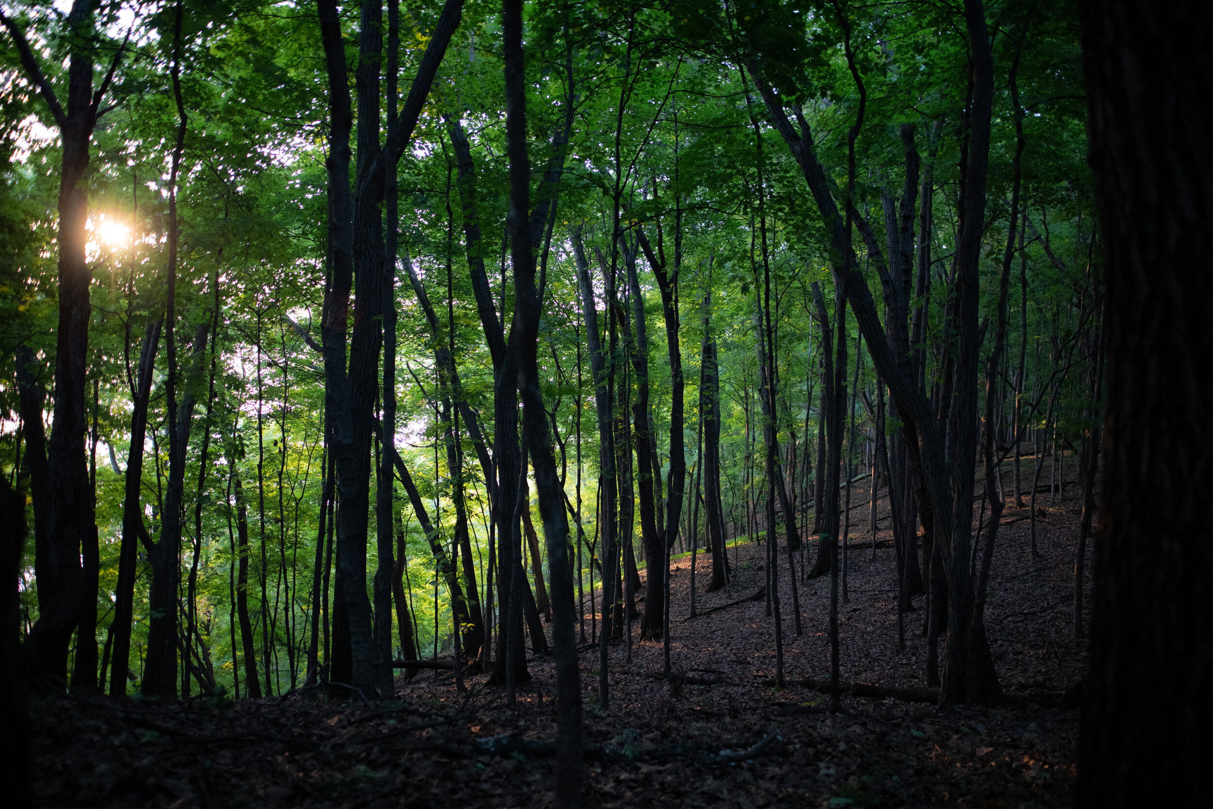 Great River Bluffs Park-5322.jpg
