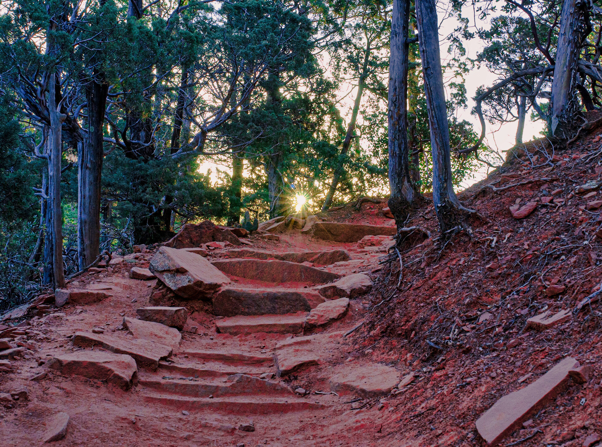 Why Step into Nature