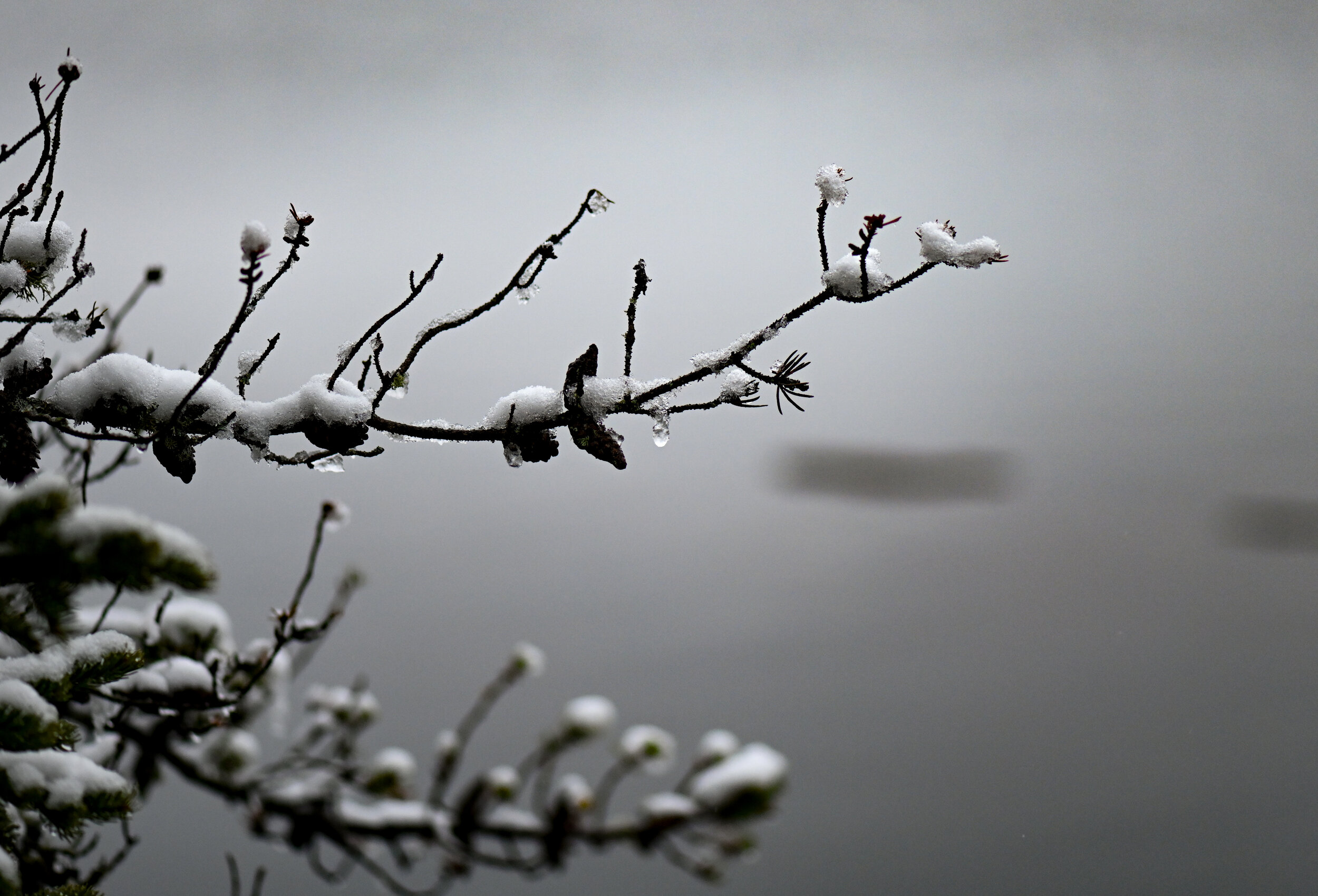 Icy Stillness - Comfort and Calm in a World Rushing By