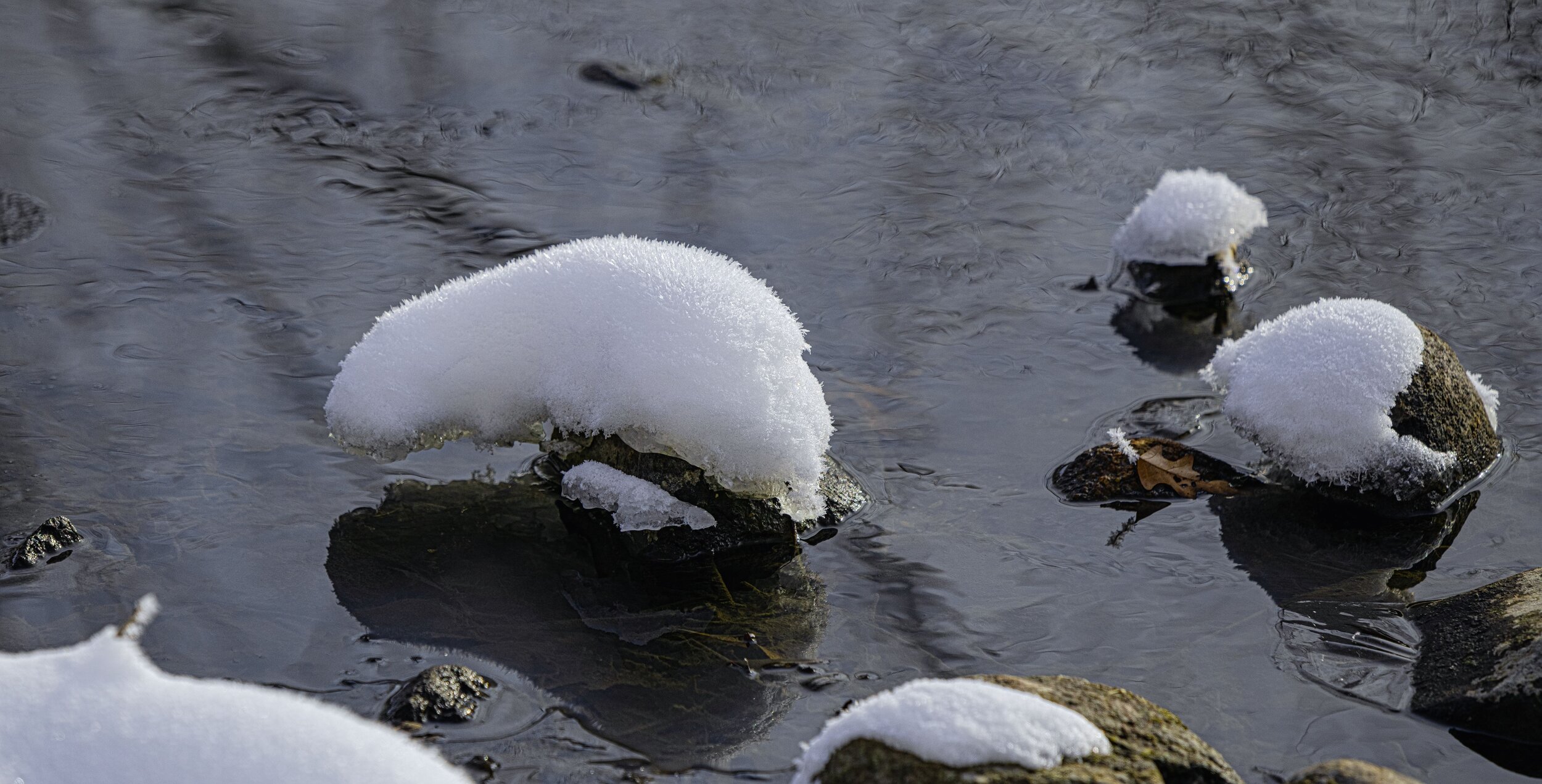 Movement in the Stillness