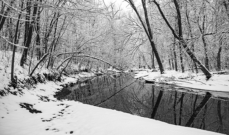 Foreshadowing Spring