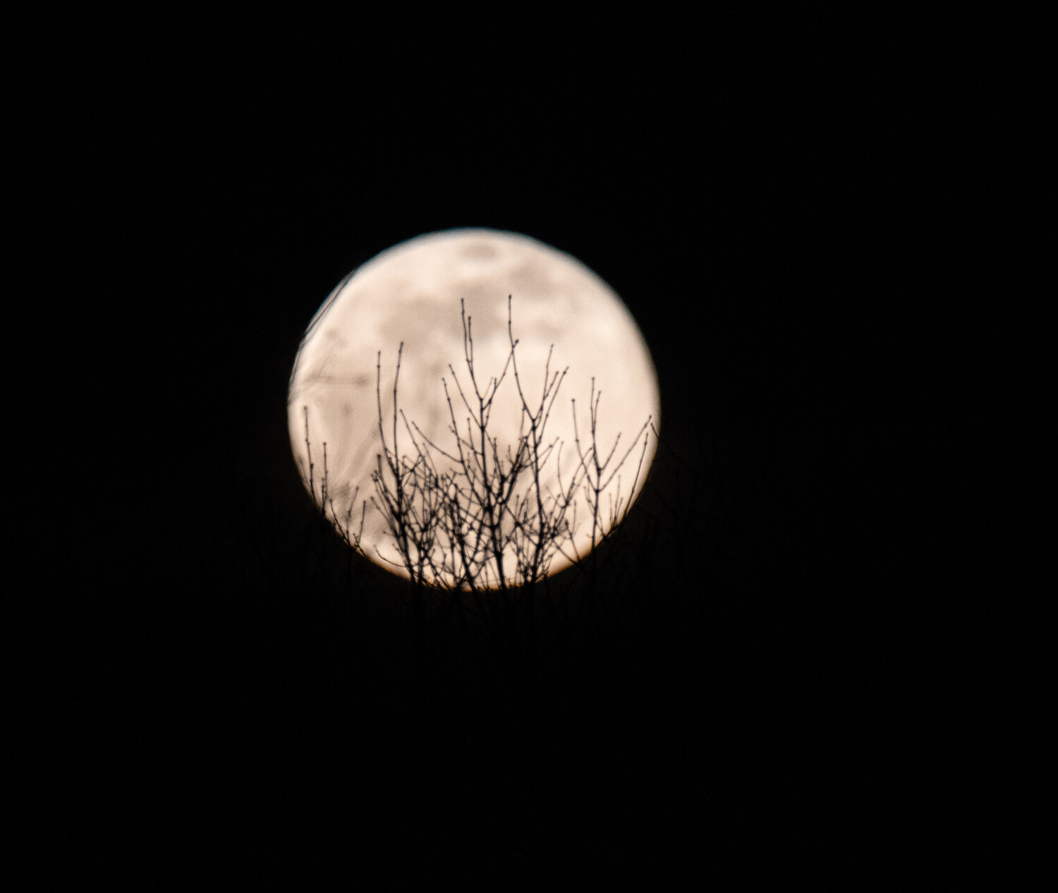 Moonlight Shining