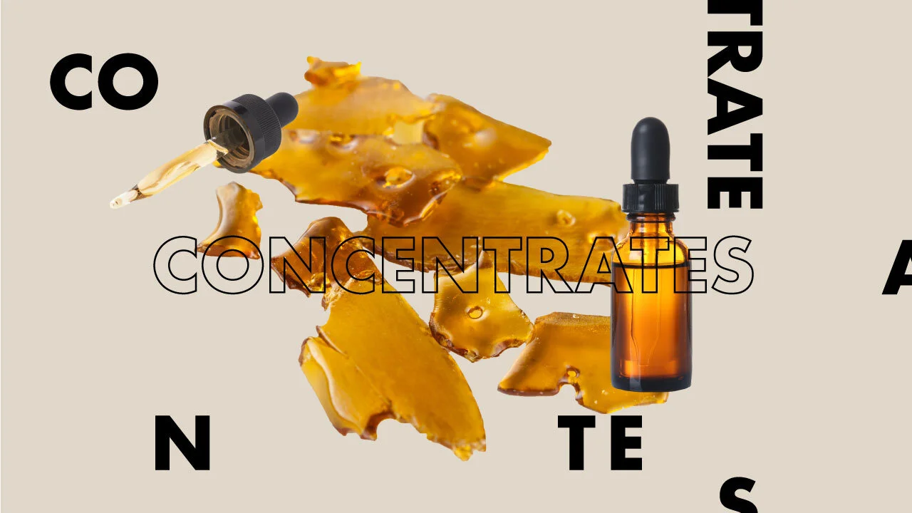 Cannabis concentrates
