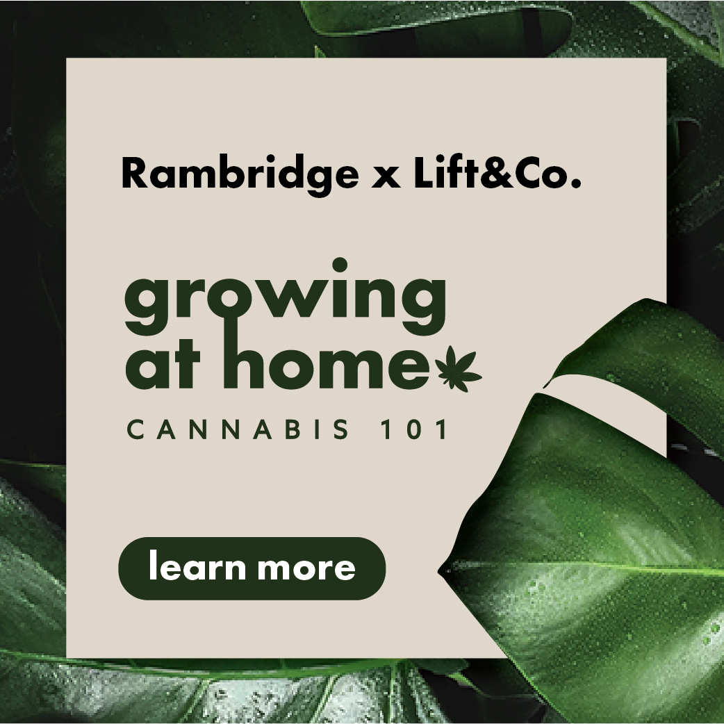 Rambridge article_250x250.png