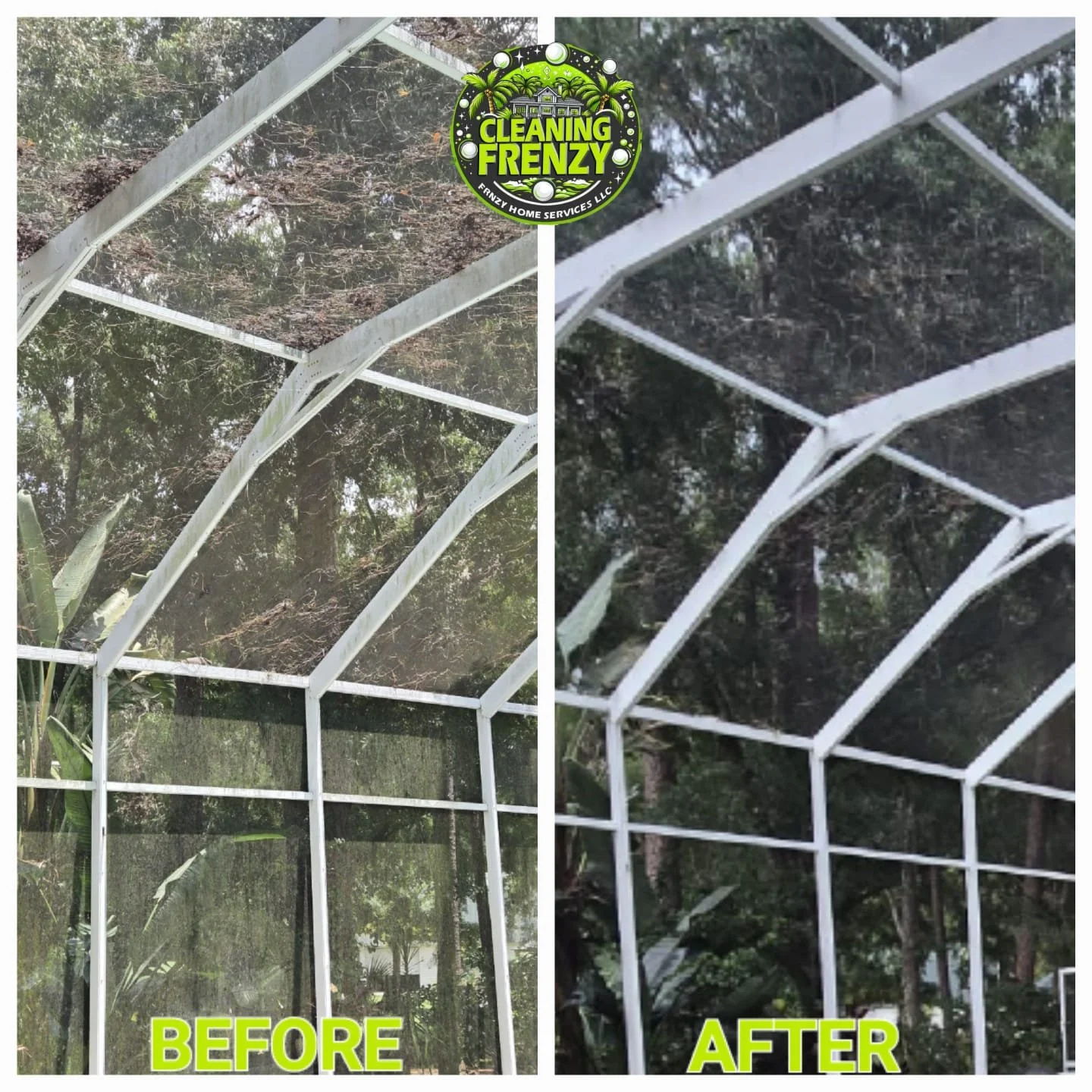 lanai cleaning in Wesley Chapel