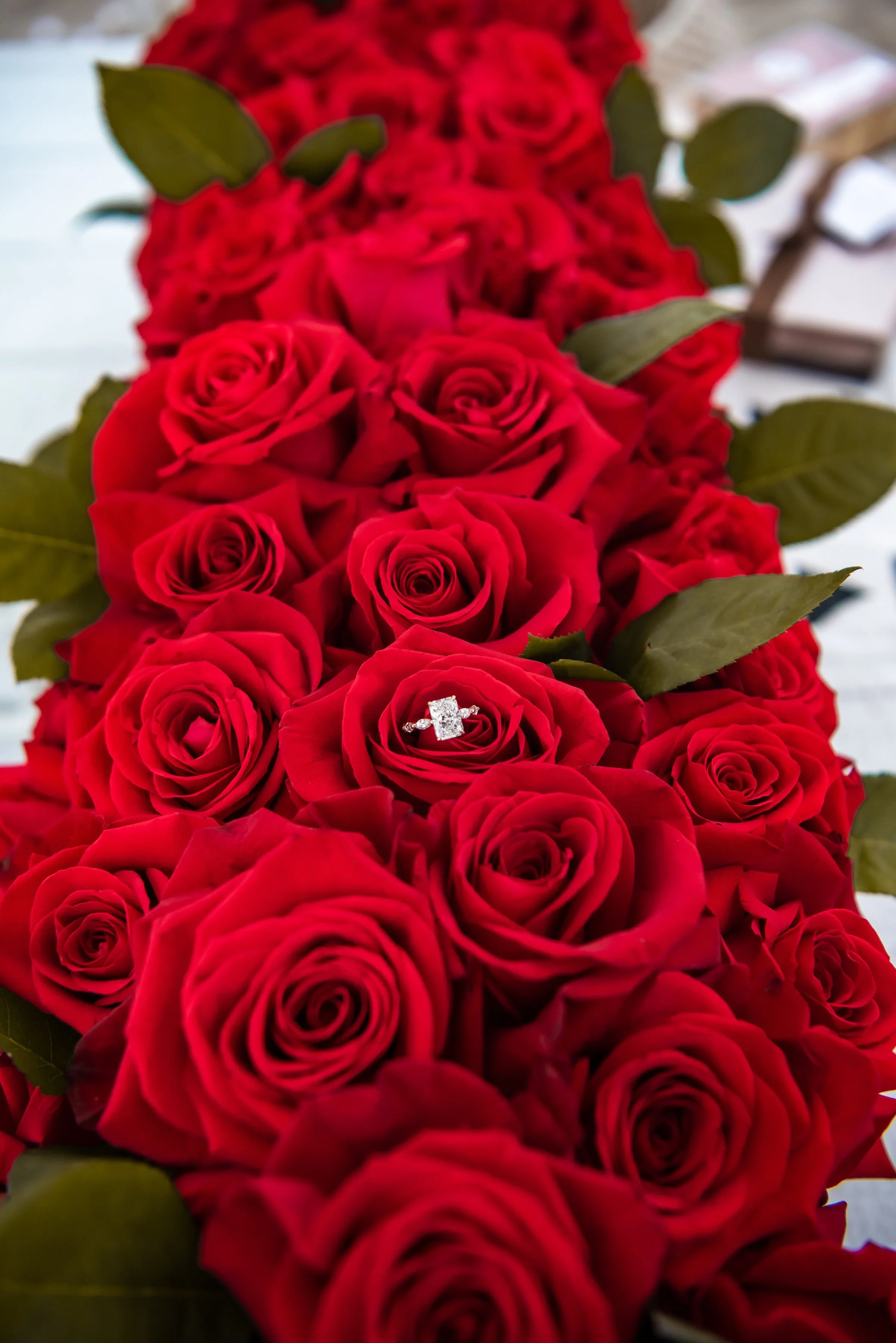 A close-up of a bouquet of red roses with a diamond engagement ring on one of them.