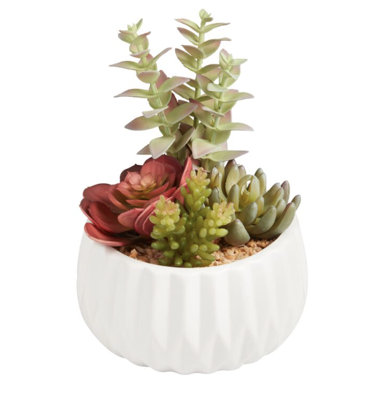 Succulent plants arranged in a white, textured ceramic pot.