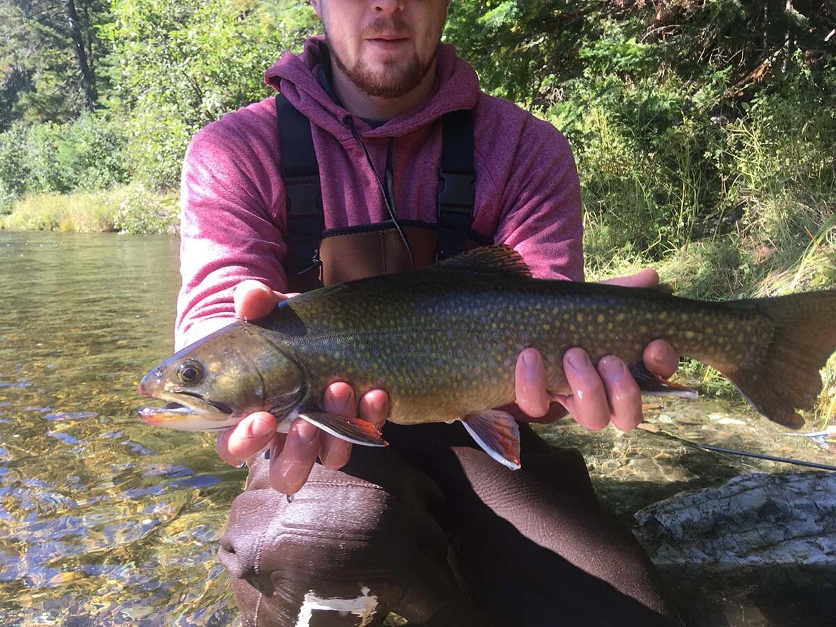 Picture+of+Brook+Trout+Caught+In+Mooshead+Lakes+Region+Maine resized.jpg