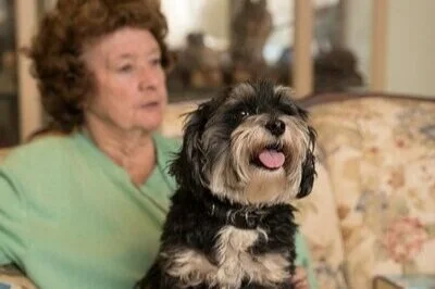 Client%2Bwith%2BDog.jpg