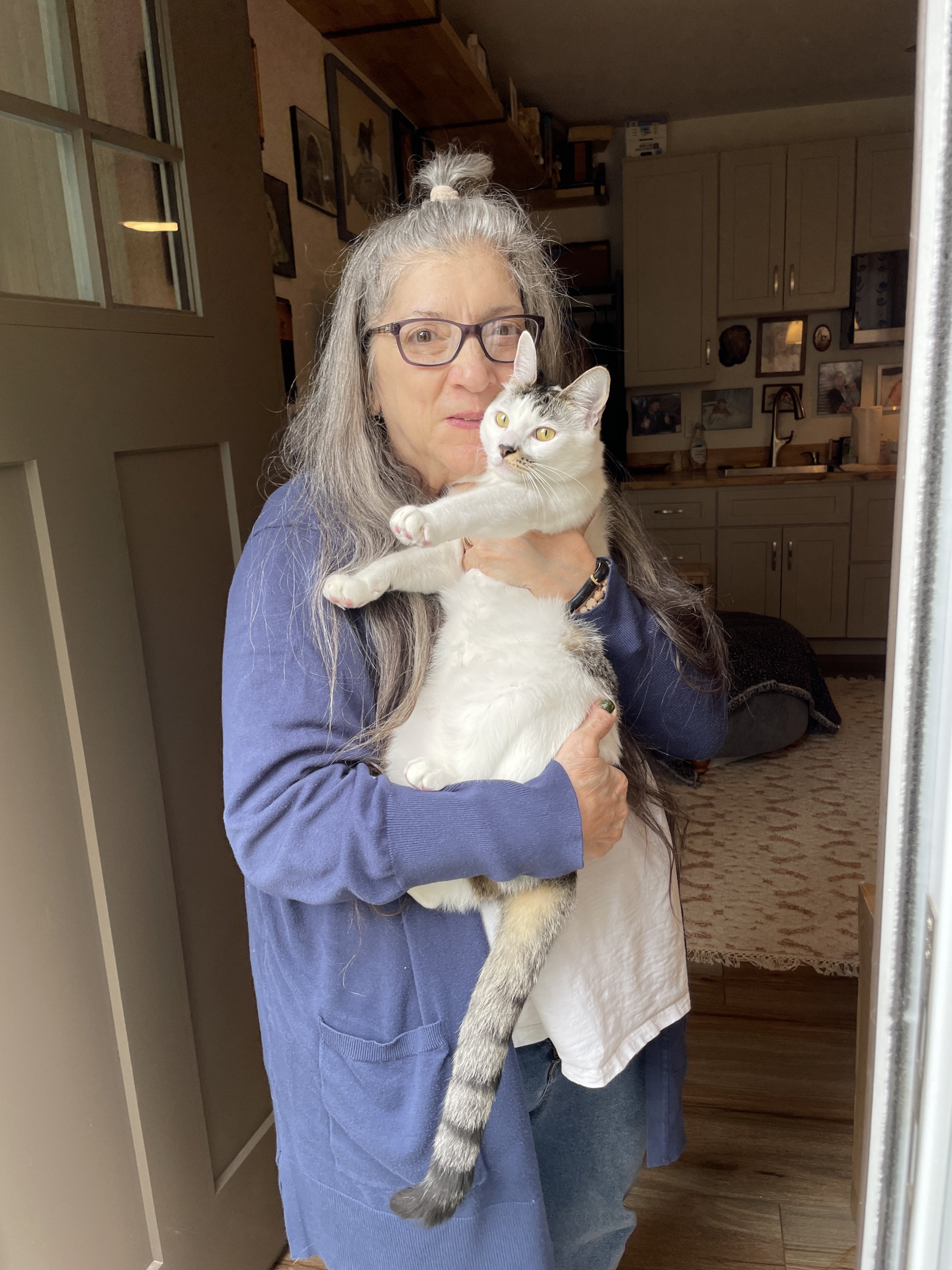 White cat.JPG