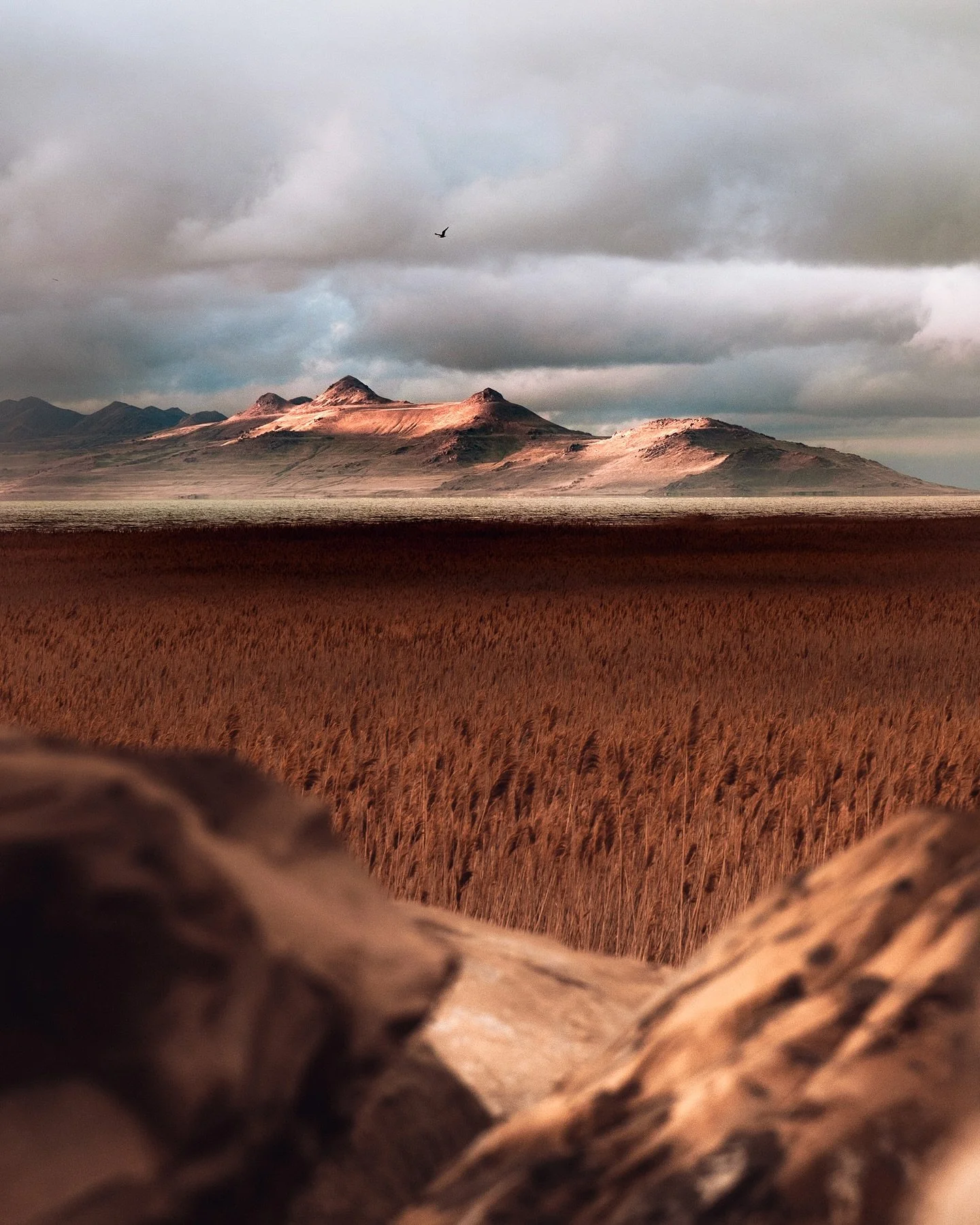 postcards from the road with @therockorchestra 🖤🇺🇸