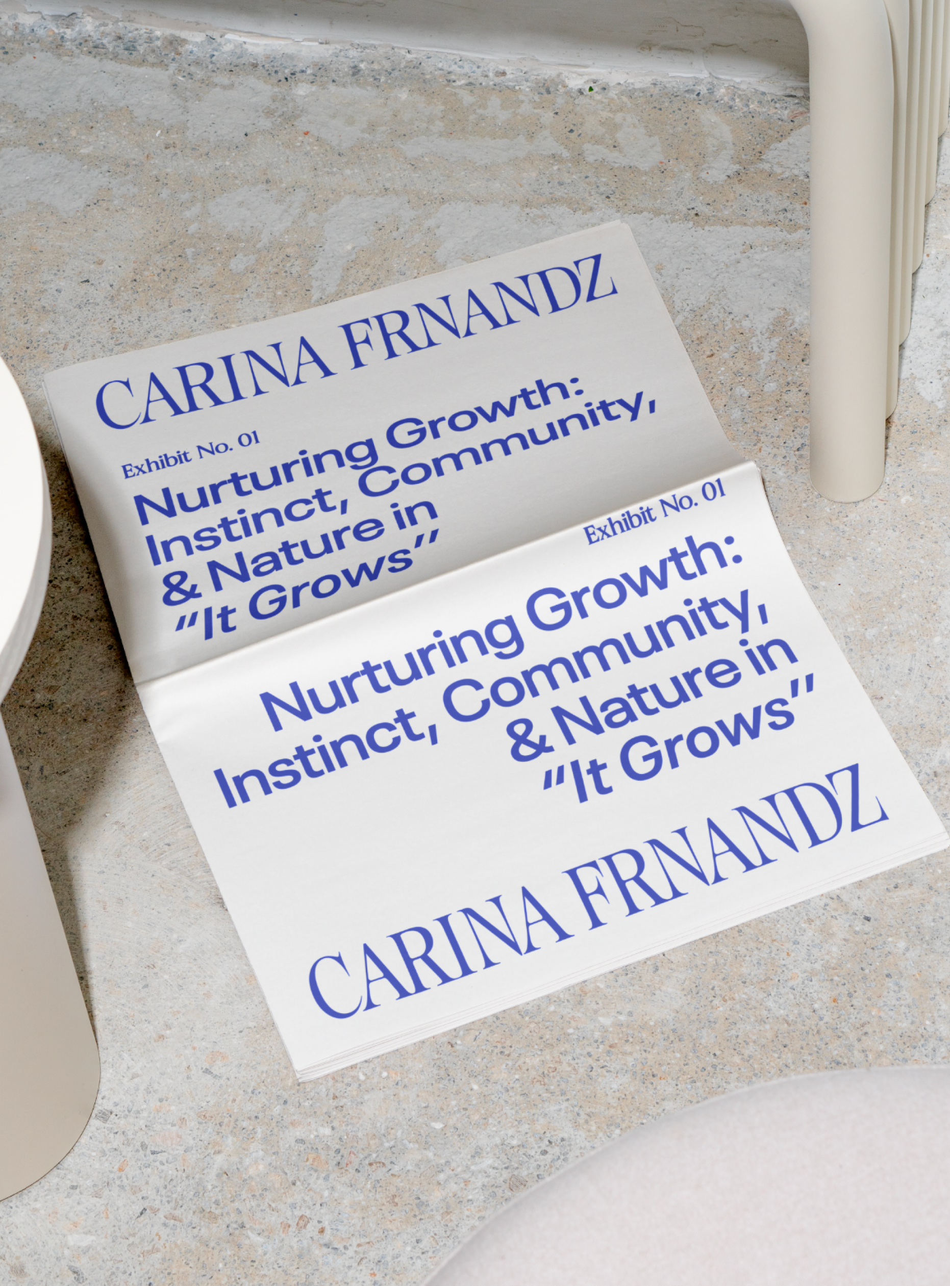 Frame 2147237575 (1).png