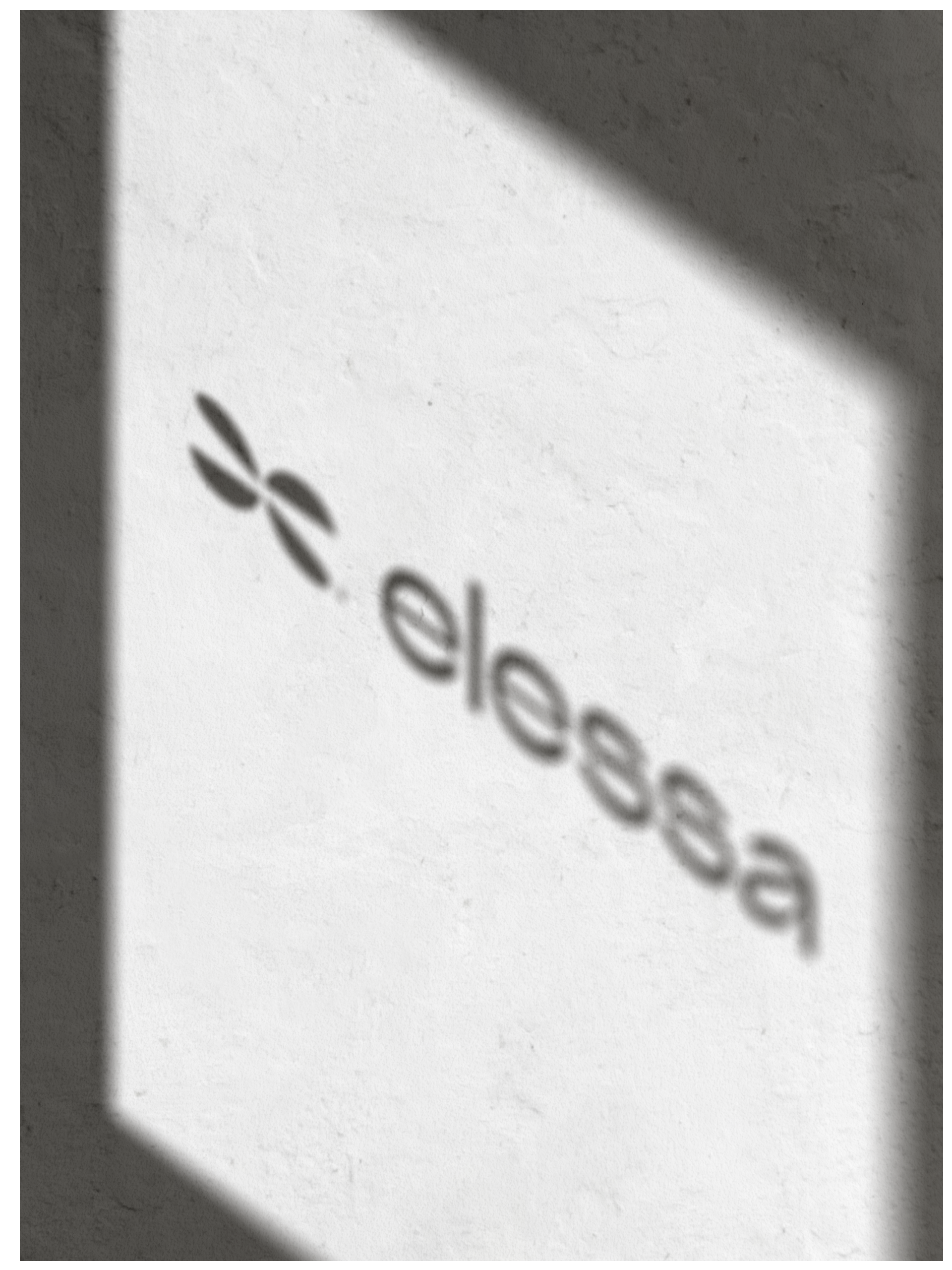 ELESSA 05.png