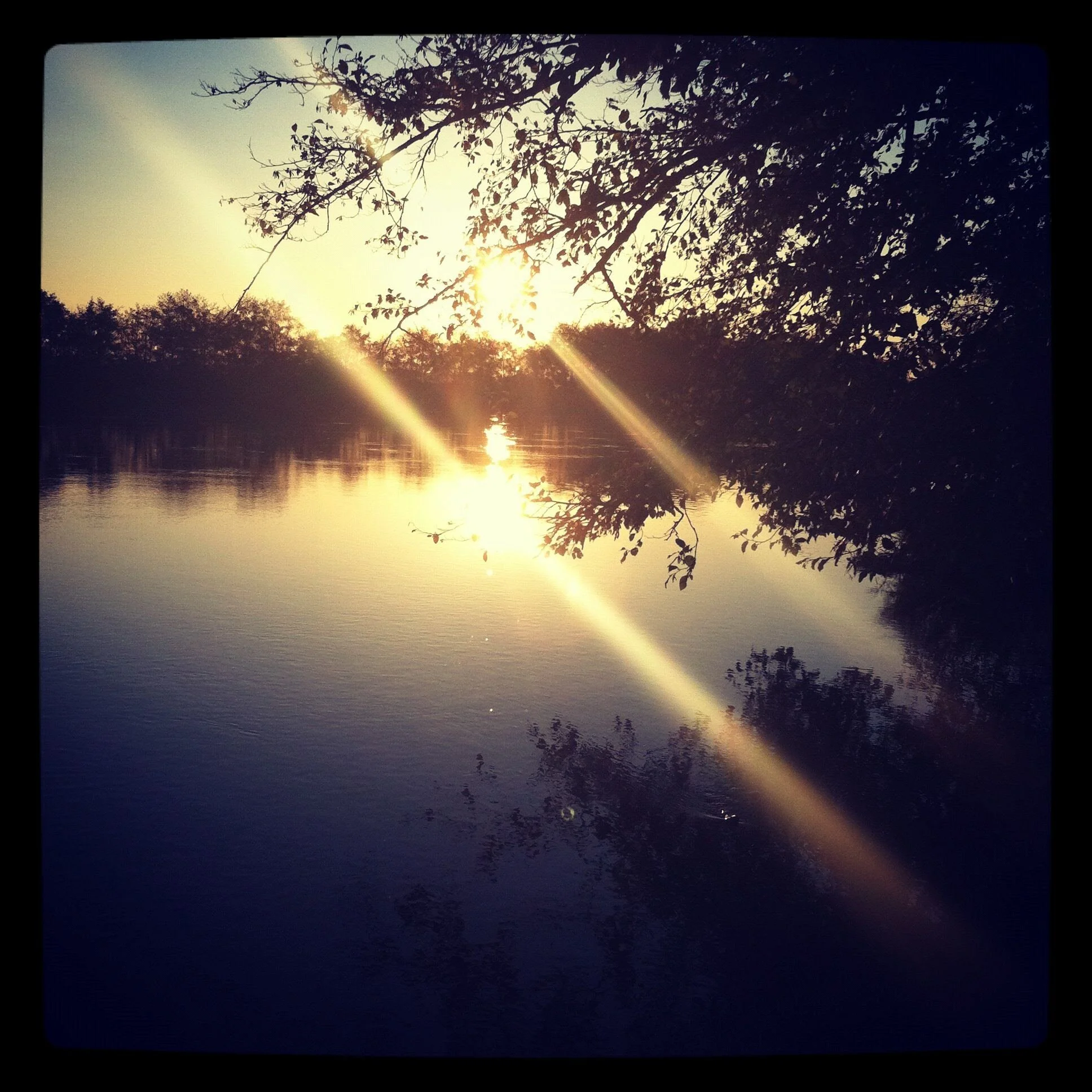 IMG_0087.jpeg