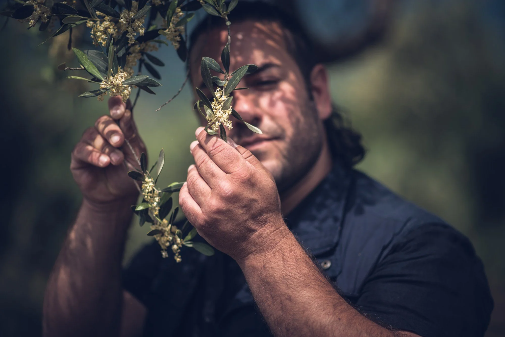 MR Portrait in Grove 2 OK.jpg