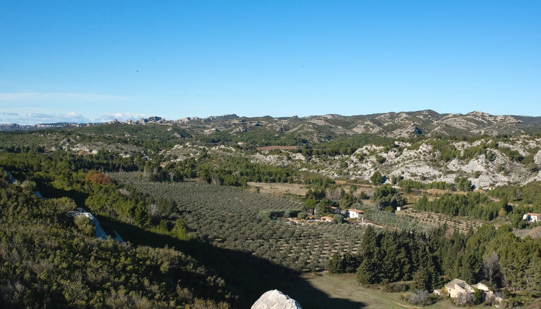 AOP Les Baux-de-Provence, quel gage de qualité ?