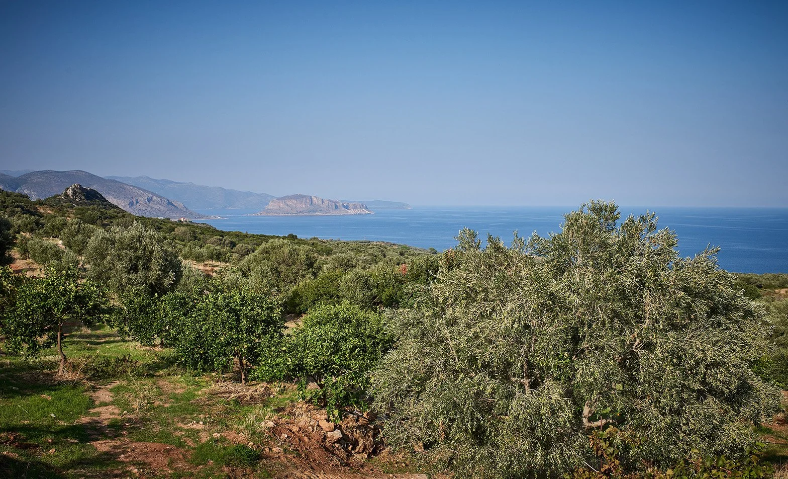 01 - Location - 014.jpg