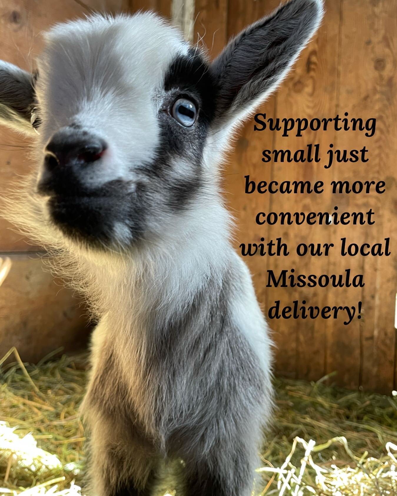 Did you know we offer local Missoula delivery? 

All you have to do is choose &ldquo;local pickup&rdquo; at checkout! We can arrange a time for you to pickup your order in town or, if you live in Missoula, we can hand deliver it to your door so you c