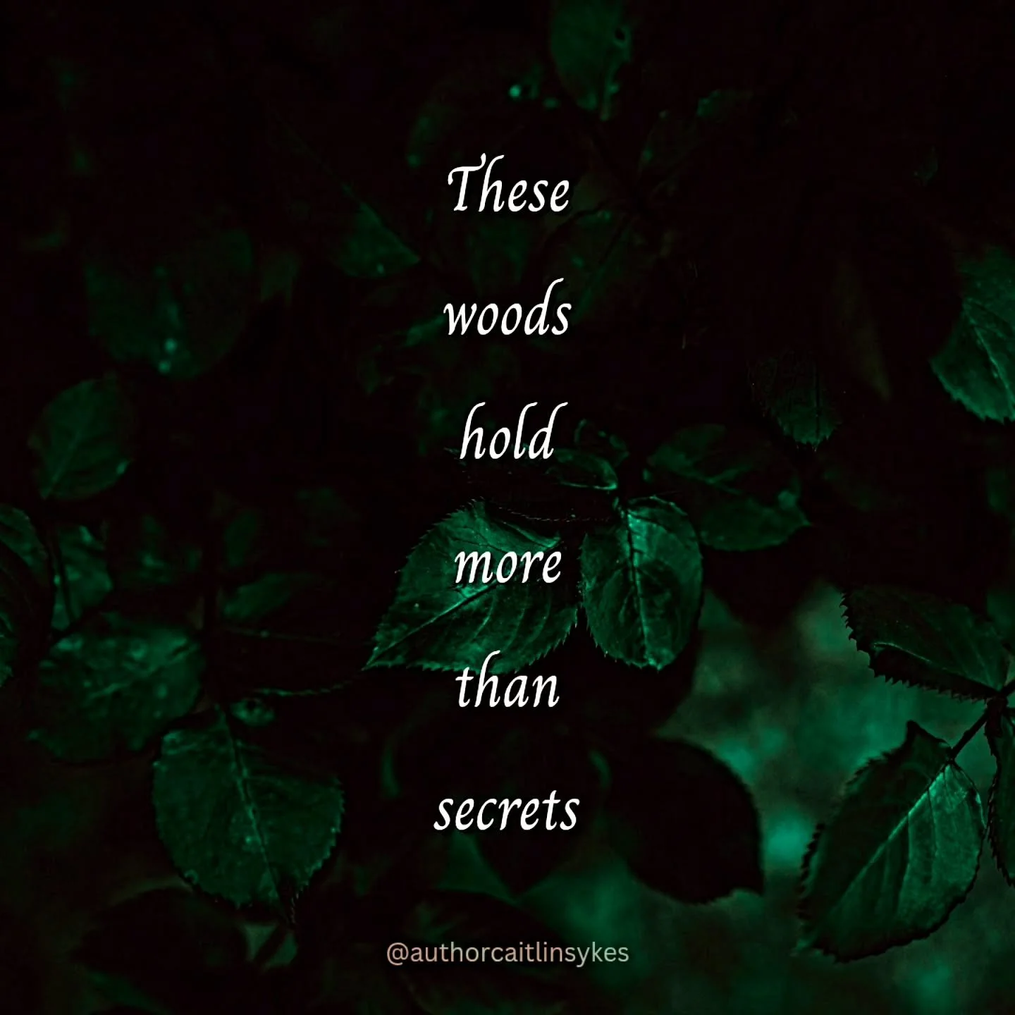 You never know what's lurking in the dark 👀
&bull;
#booksnippet #bookquotes #amwritinghorror #writinghorror #currentwip #writingcommunity #horrornovel #writerlife #bookishquote #darkwoods #spookyseason #spookybooks #bookaesthetics