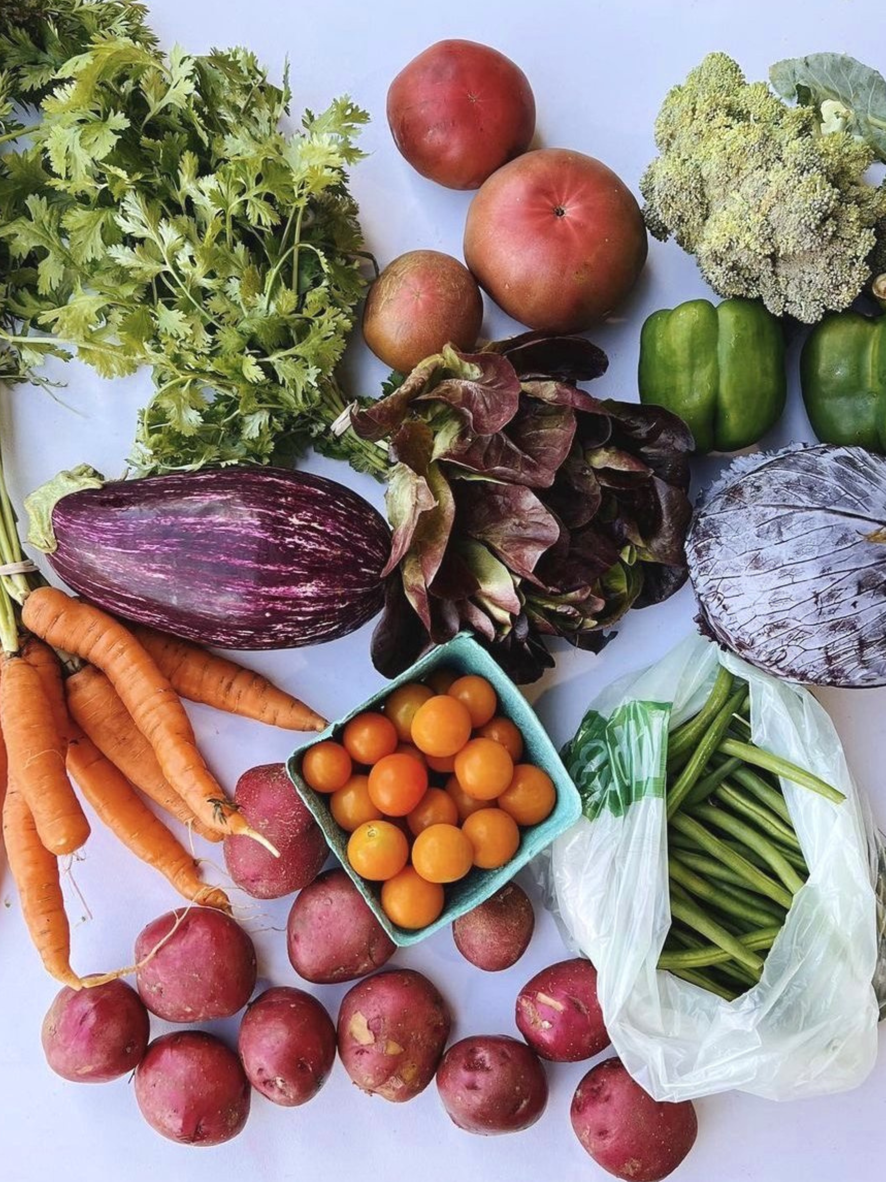 2026 Summer Segment - Upfront Weekly Payment