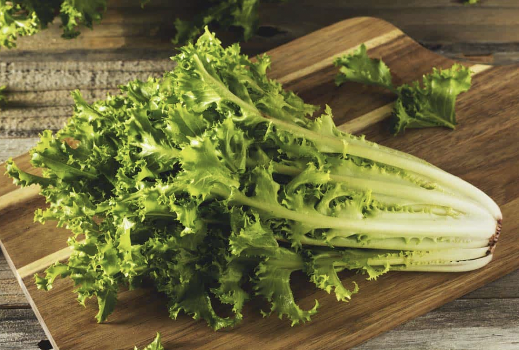 Endive