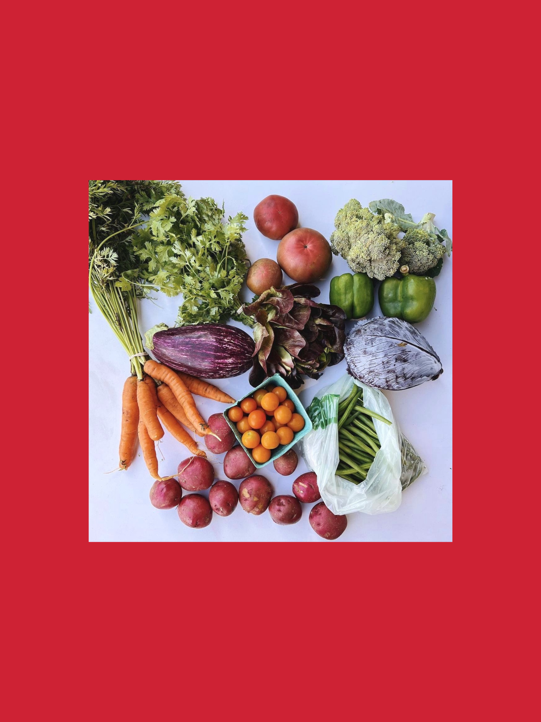 2026 Summer Segment - Weekly Payment Plan