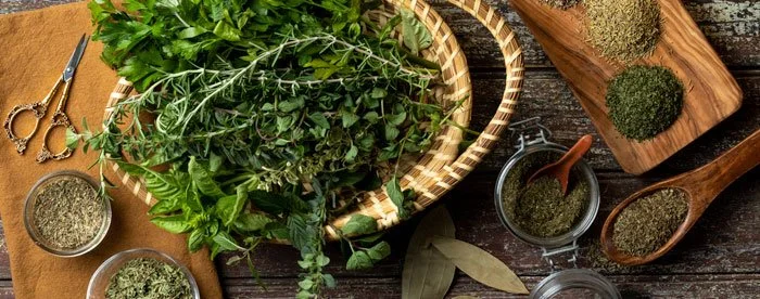 Dried Culinary Herbs