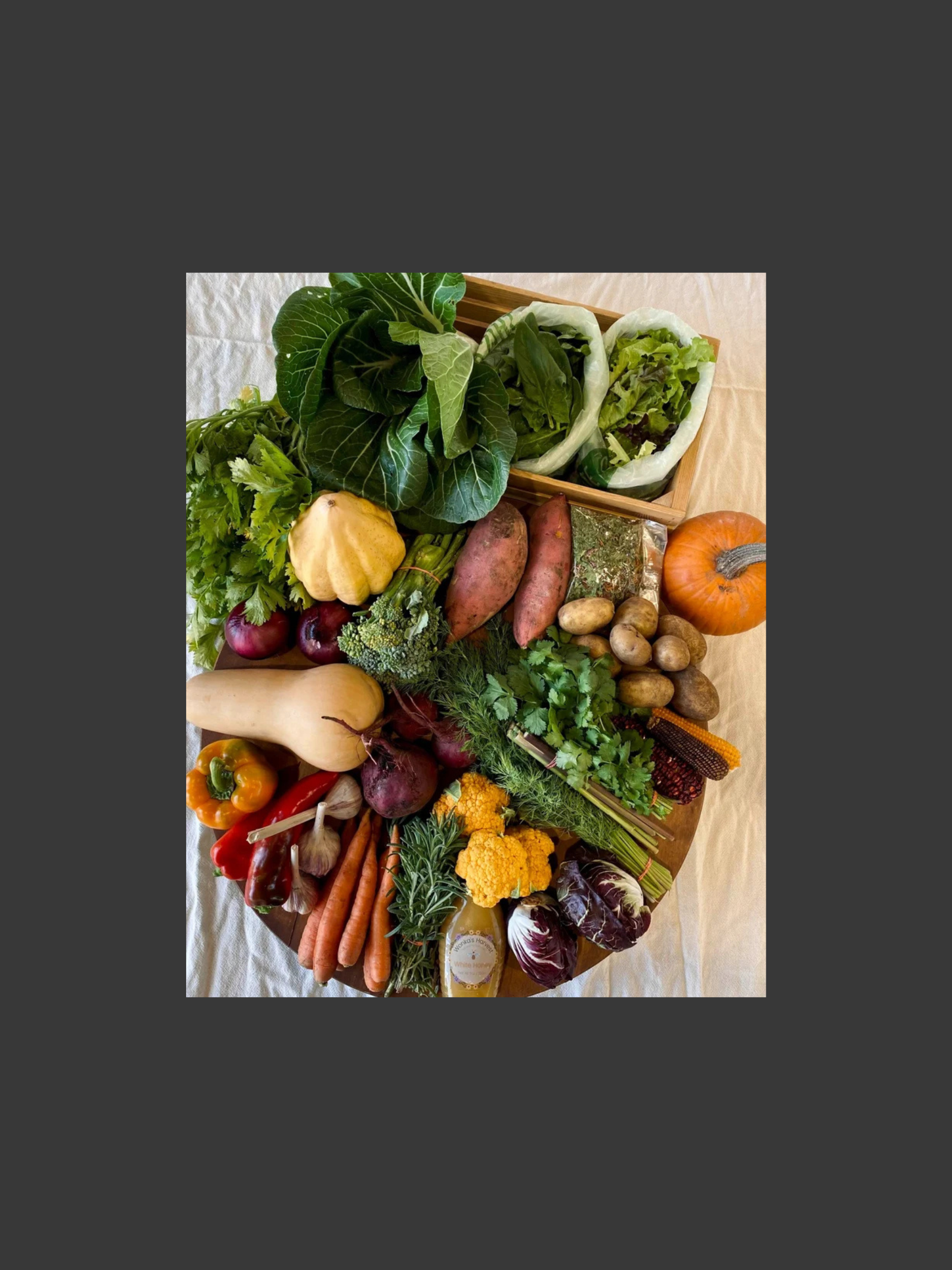 2026 Late Fall Segment - Weekly Payment Plan