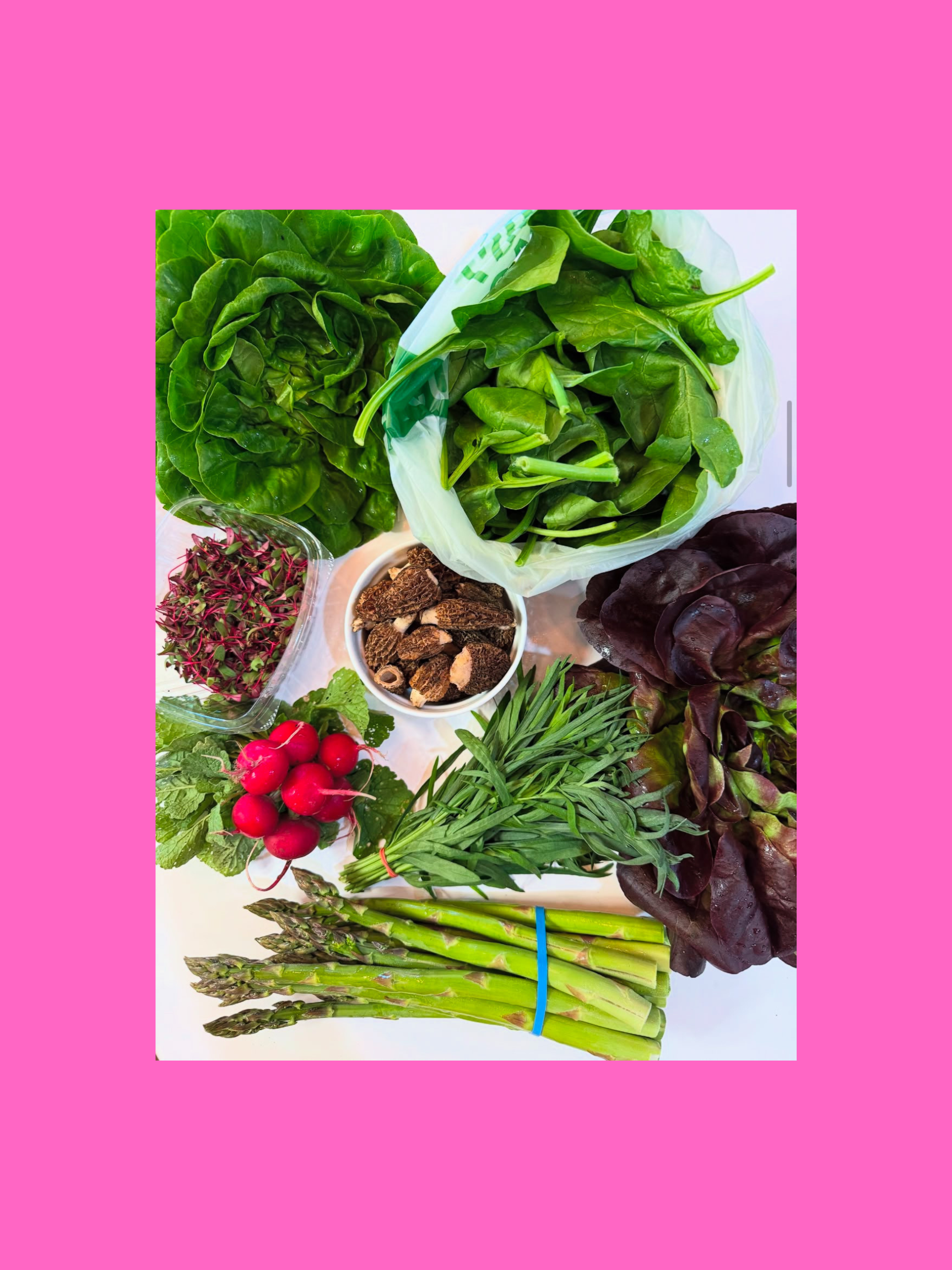 2026 Spring Segment - Weekly Payment Plan