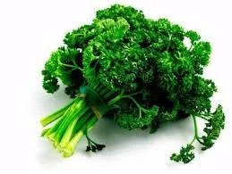 Curly Parsley