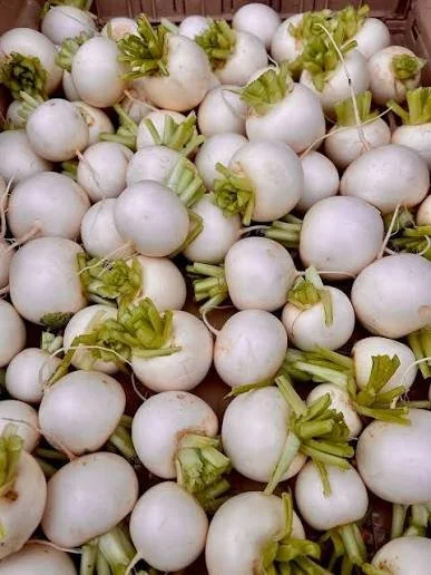 Topped Salad Turnips (1 lb)