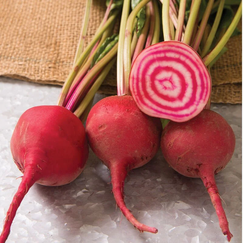 Chioggia Beet Bunch