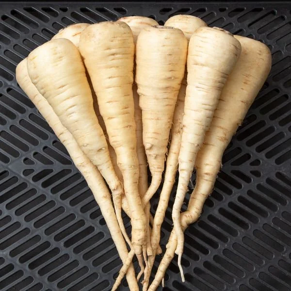 Topped Parsnips (1.5 lbs)