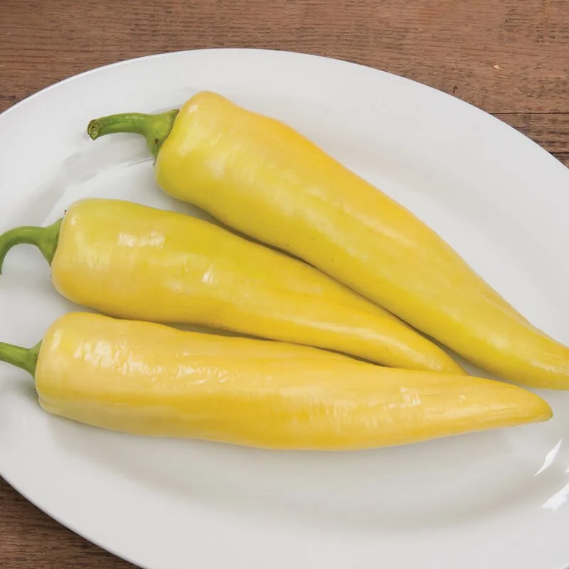 Goddess Pepper Start