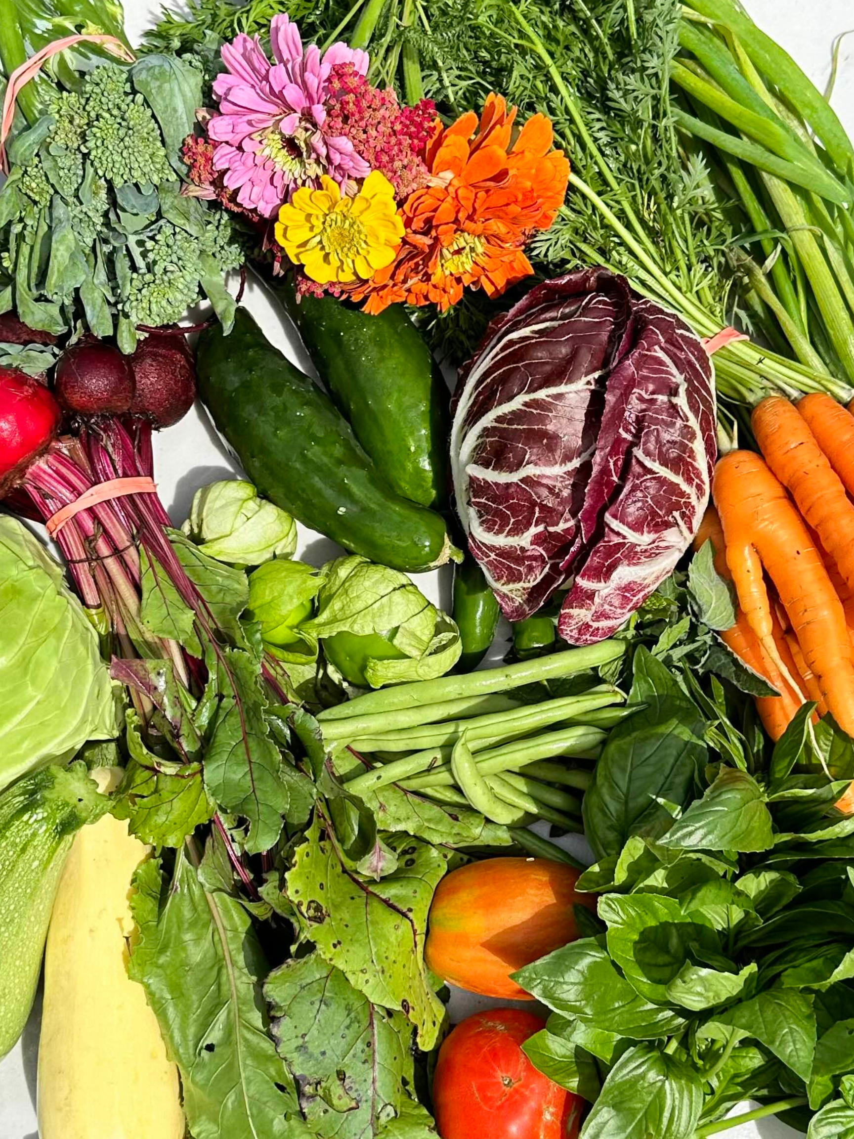 2026 Full Season - Upfront Weekly Payment