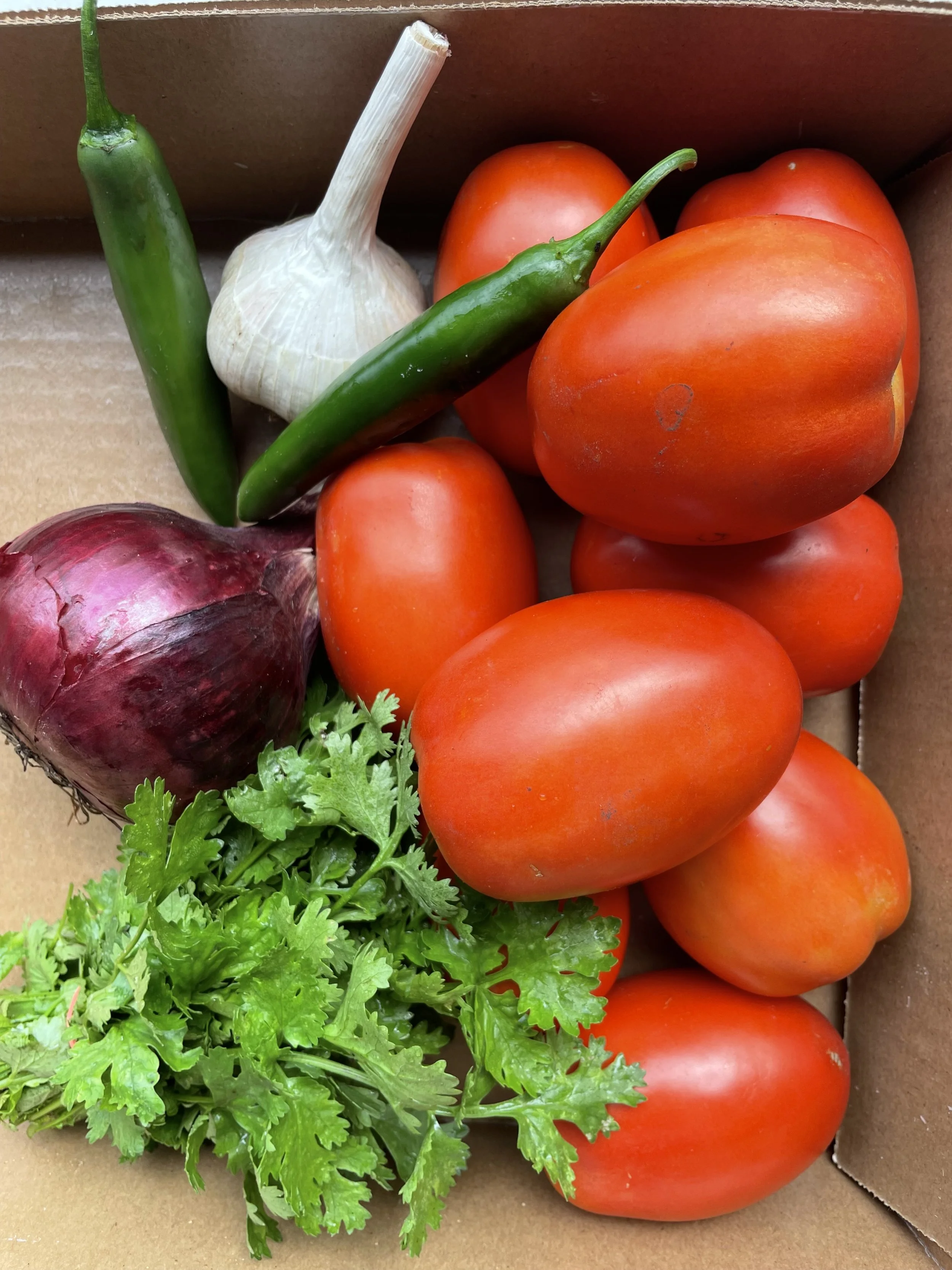 Salsa Kit
