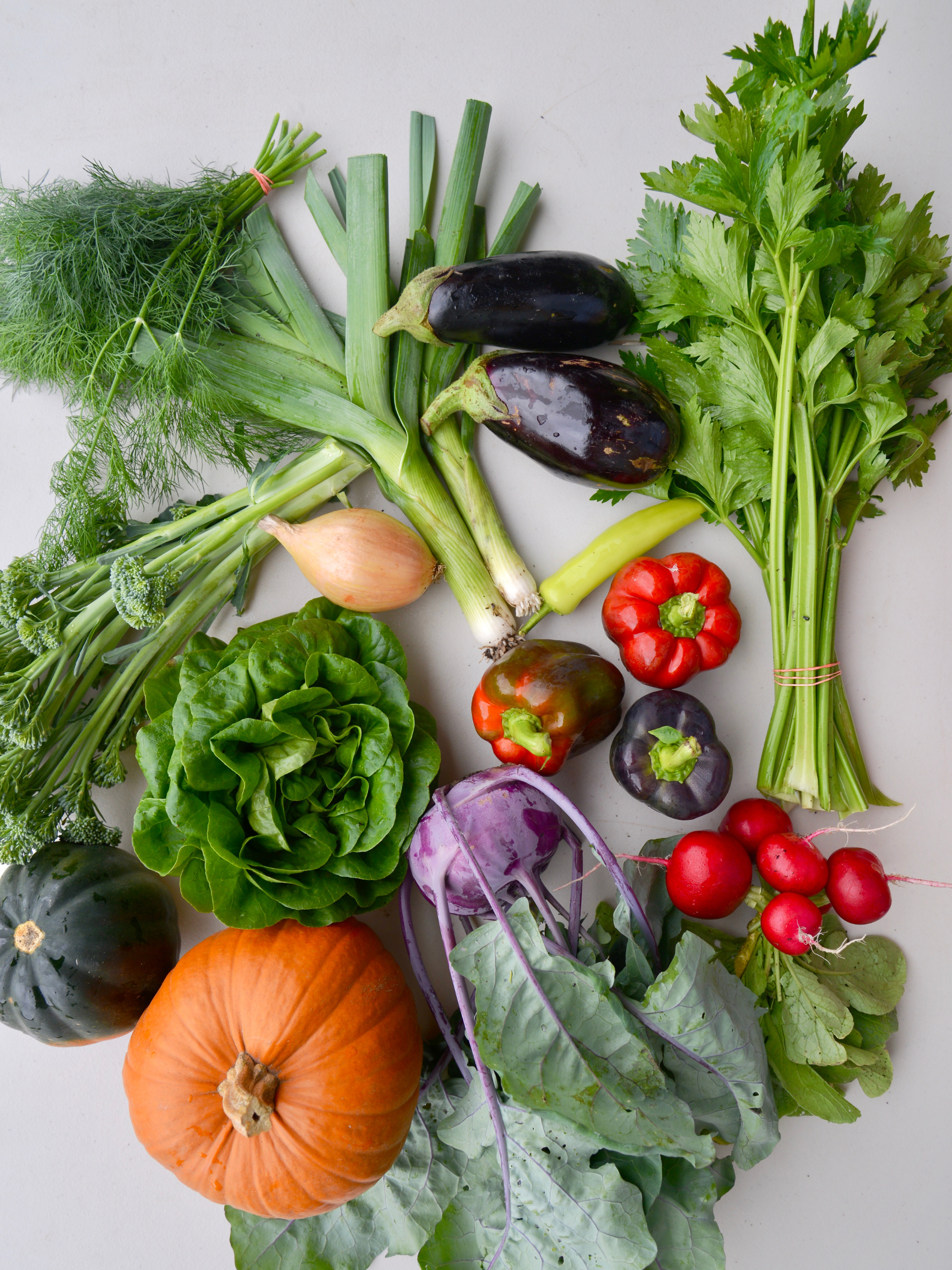 2026 Fall Segment - Biweekly Upfront Payment