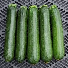 Summer Squash