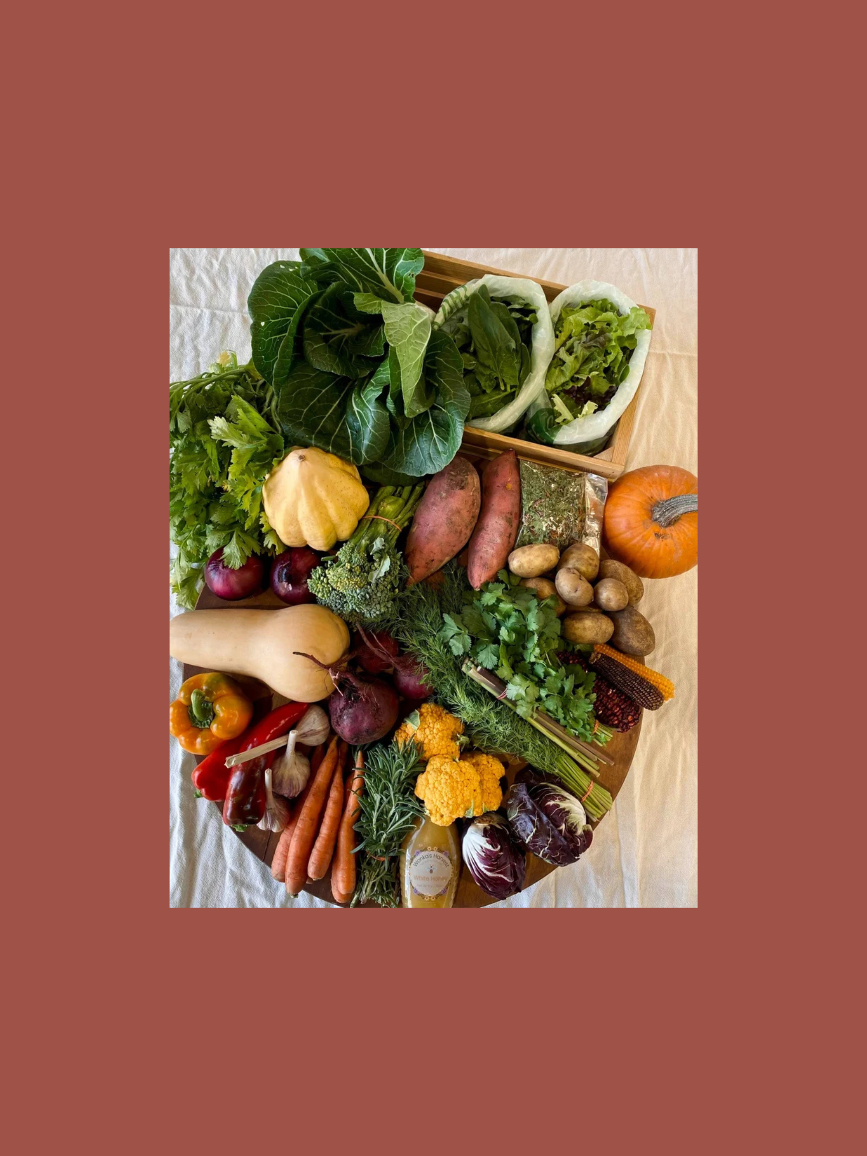 Late Fall B.png (Copy)